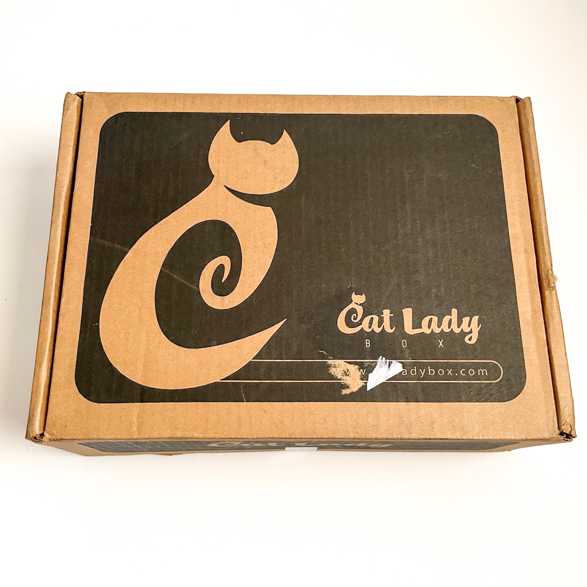 Cat Lady Box Subscription October 2022 Review MSA