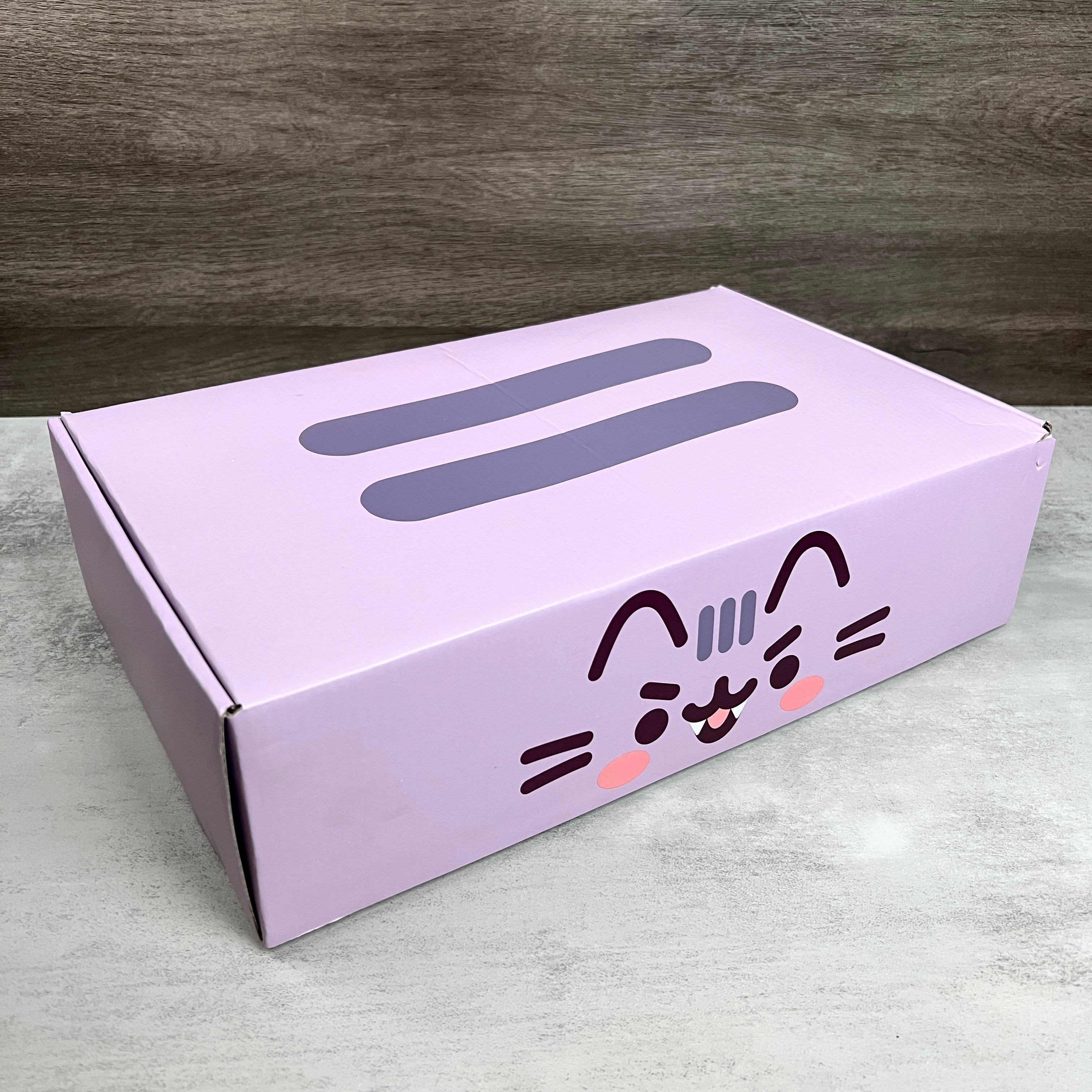 Box for Pusheen Box Fal 2022
