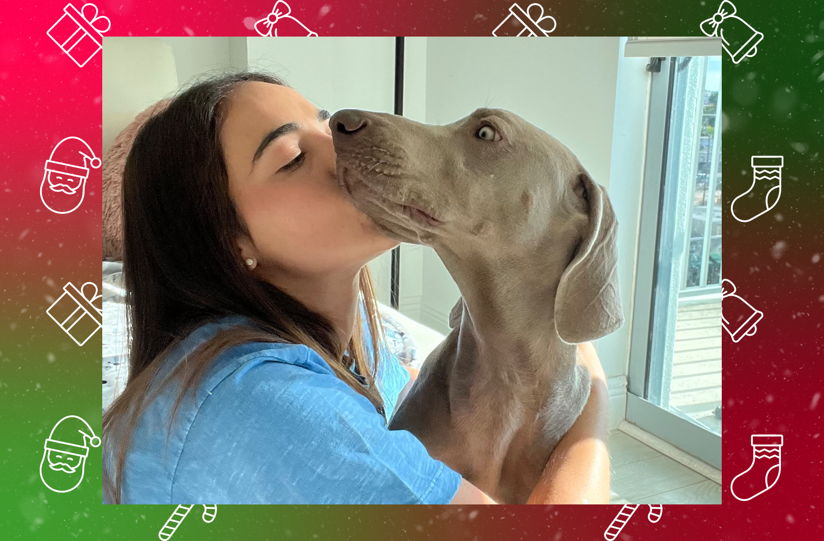 Wagmo Has a Pet Wellness Plan Deal Happening Now – Here’s What You Need to Know