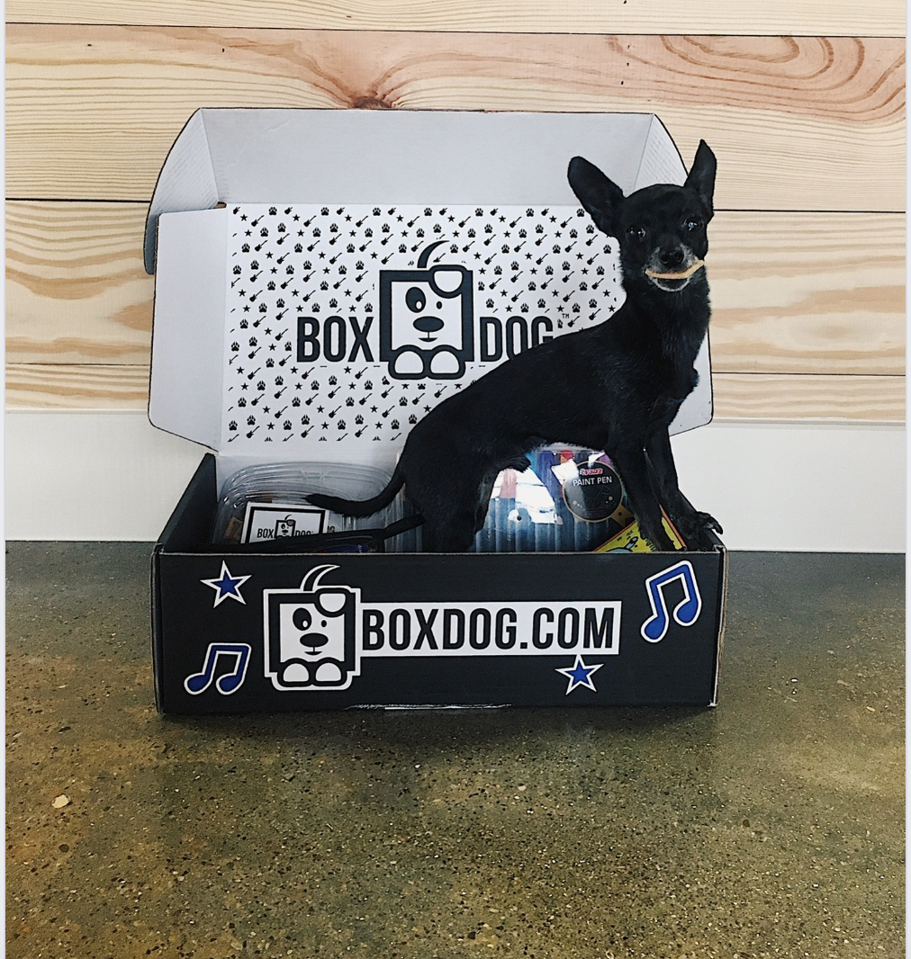 BoxDog Black Friday 2022 Deal: Toys and Treats for $1