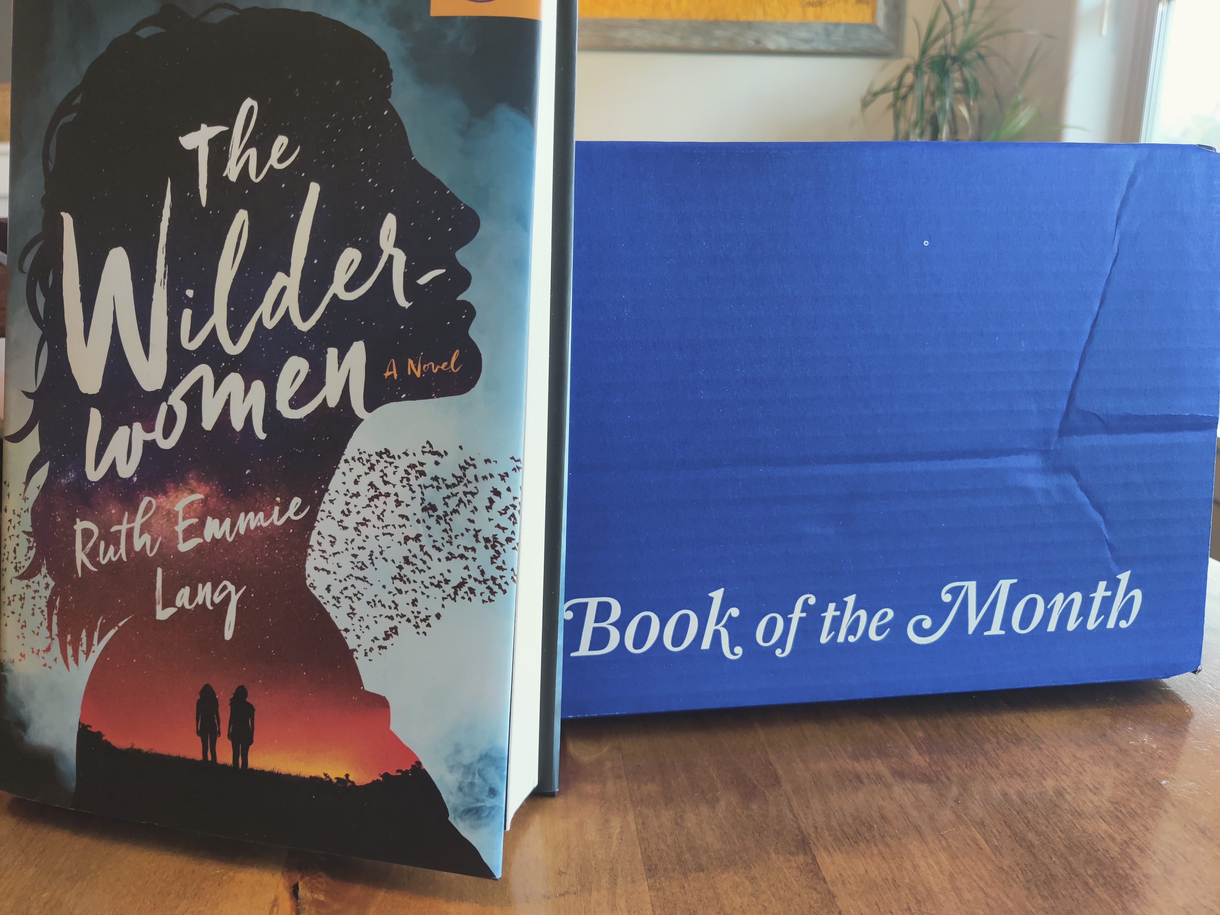 Book of the Month November 2022 Review + Coupon