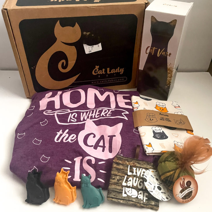 Cat Lady Box Subscription November 2022 “Happy Home” Box Review MSA