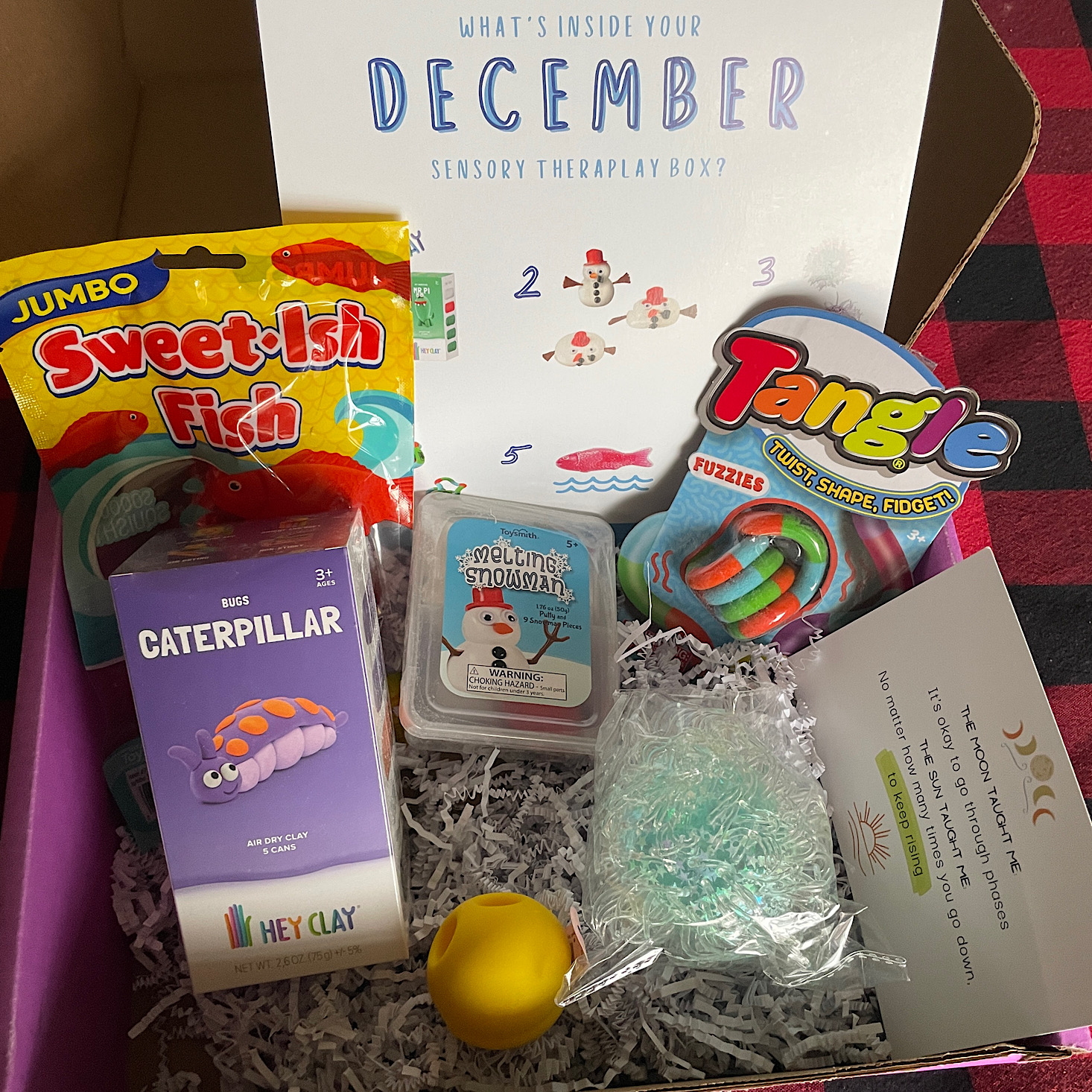 Sensory TheraPlay Box September 2022 Review