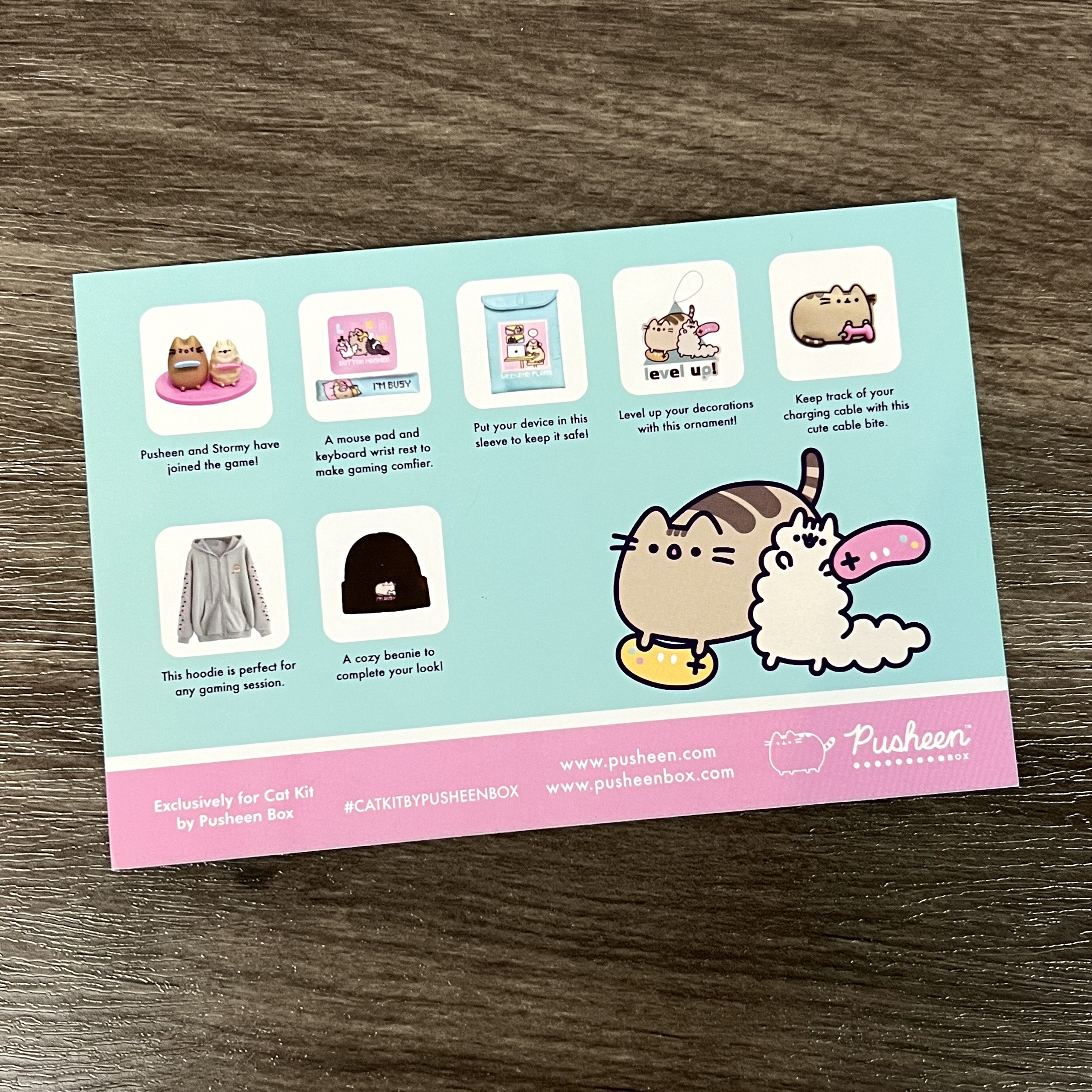 Back of Card for Pusheen Box Winter 2022
