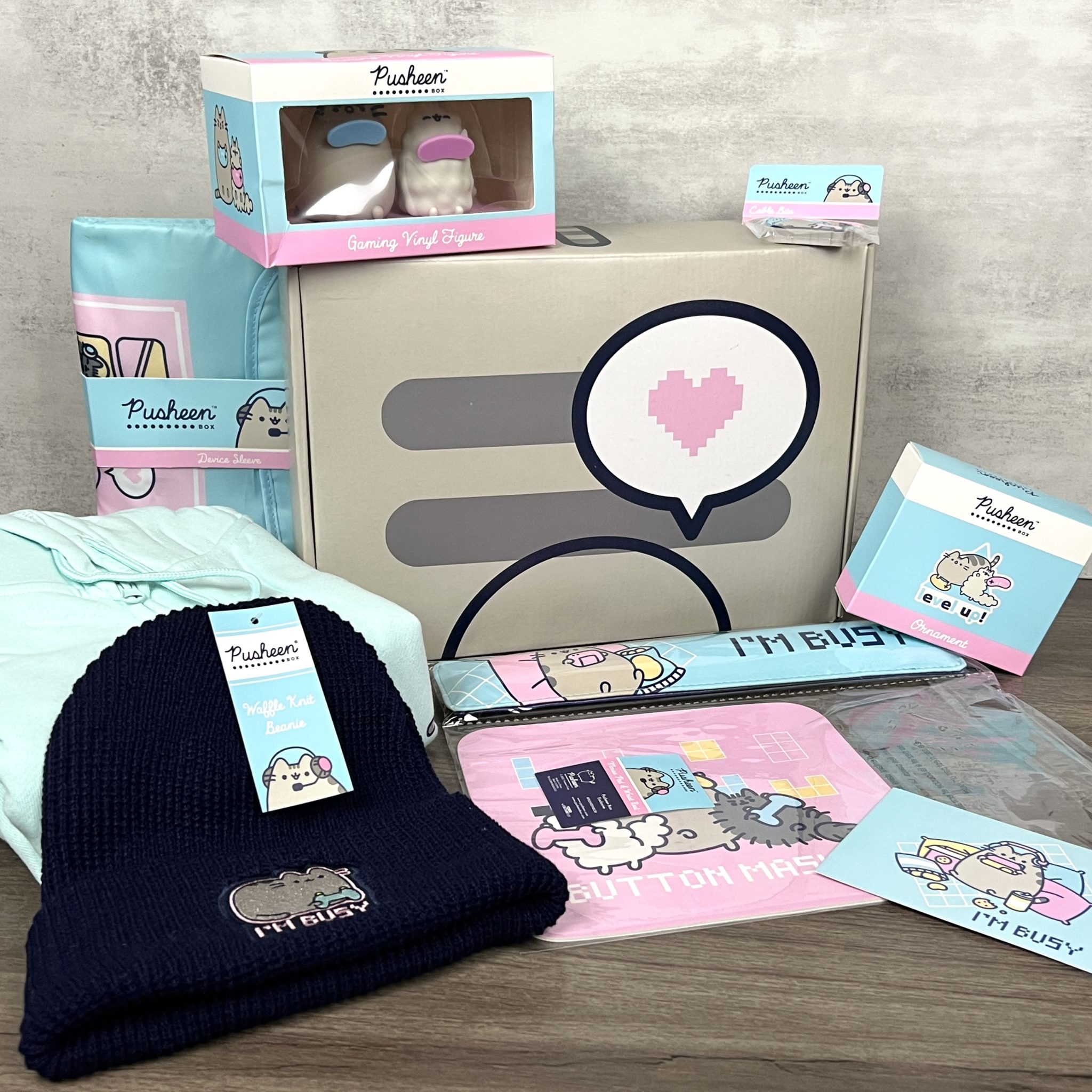 Pusheen Box Review Winter 2022 MSA