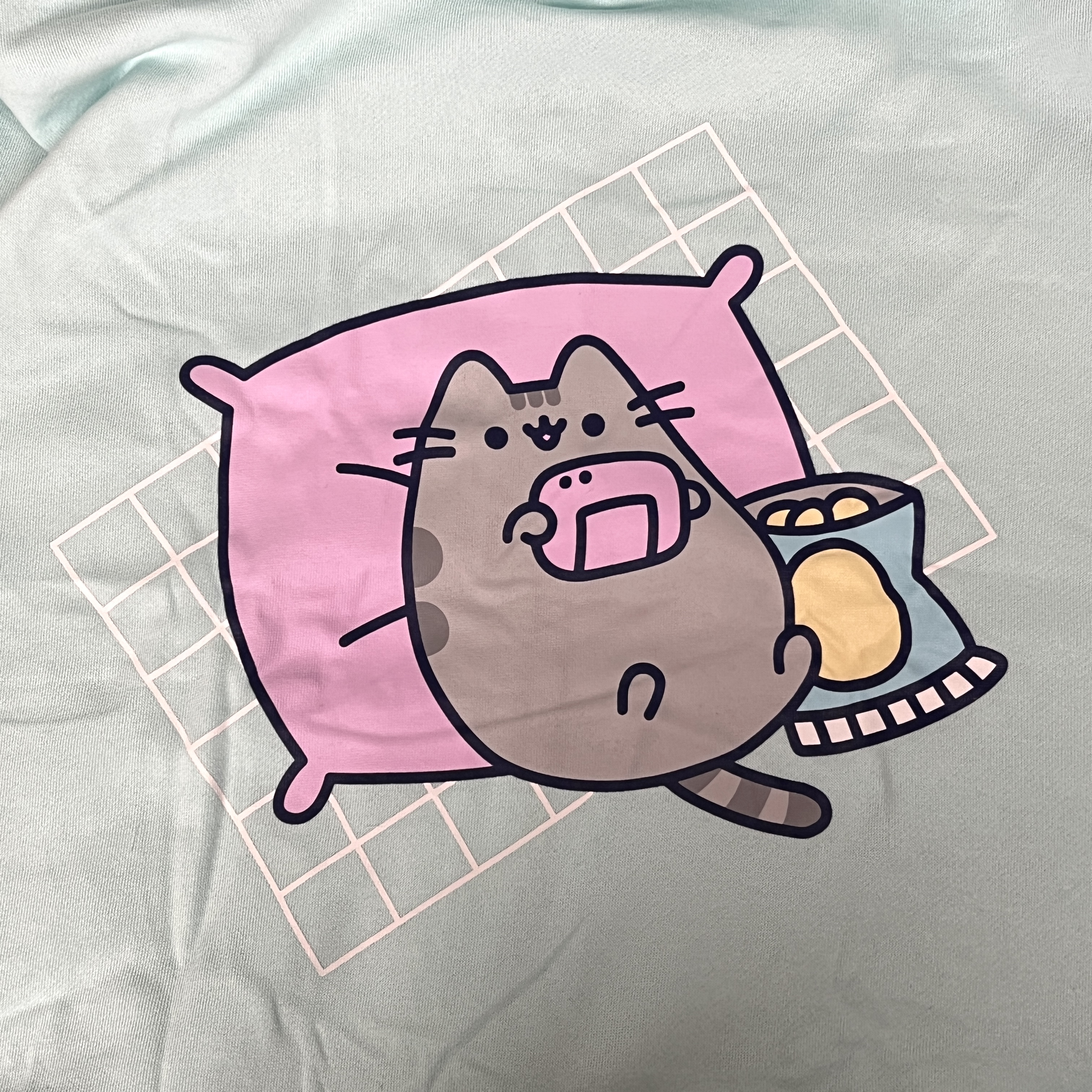 Closeup of Hoodie for Pusheen Box Winter 2022