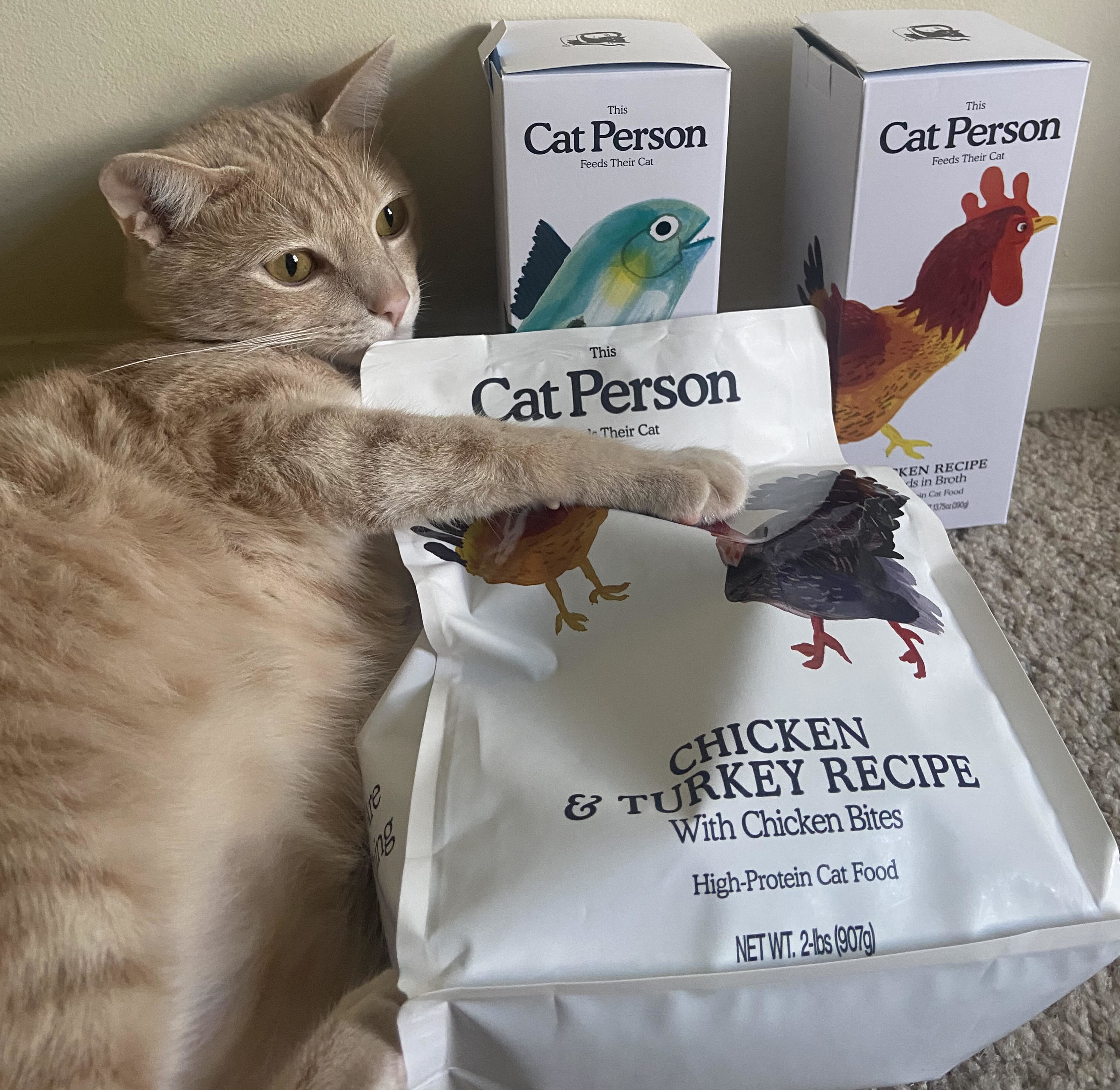 cat person ingredients