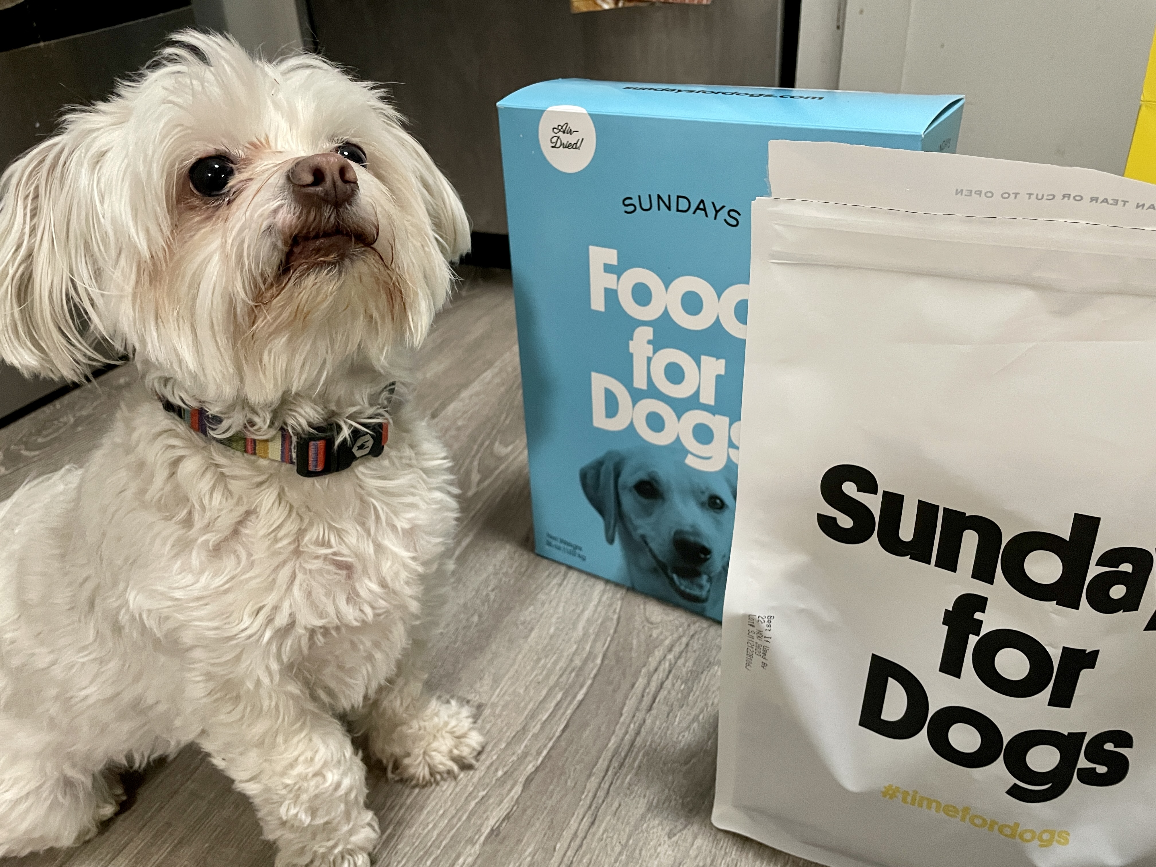 Dinner For Three Our Pups Put Sundays and Purina Through Their