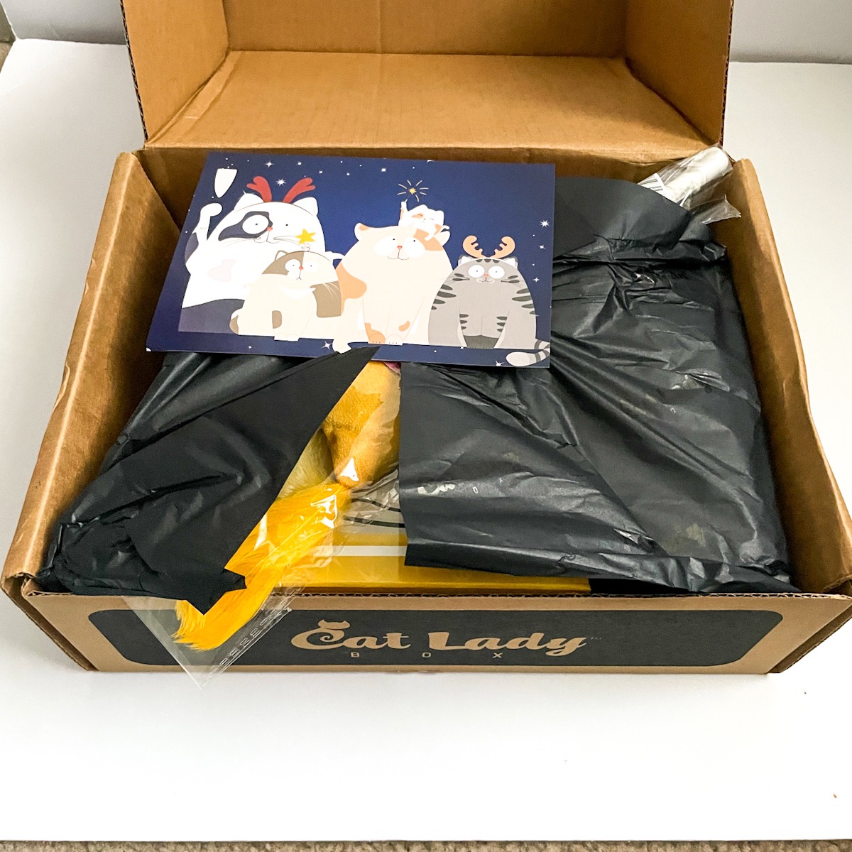 Cat Lady Box Subscription December 2022 “The Perfect Gift” Box Review MSA