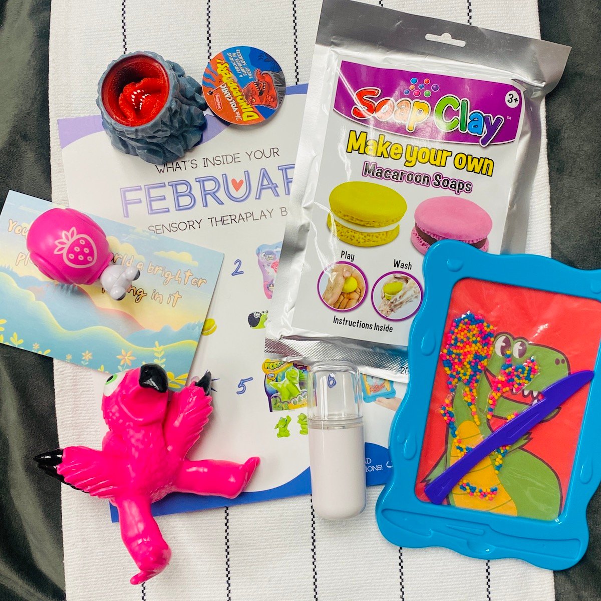 Sensory TheraPlay Box February 2023 Review