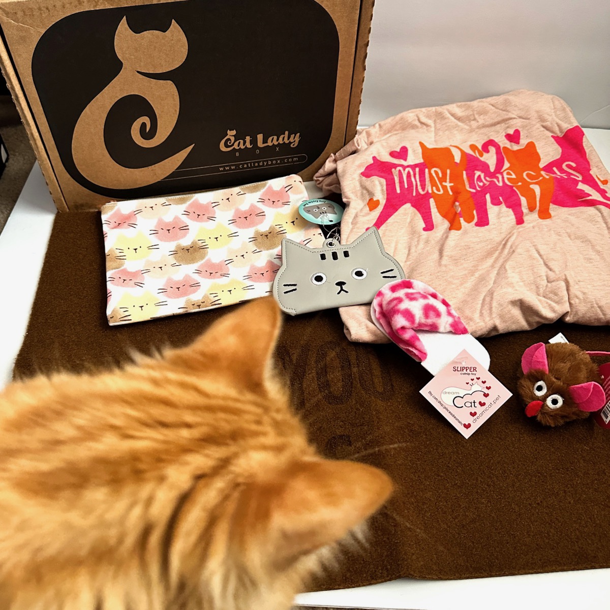 Cat Lady Box Review “Must Love Cats” February 2023