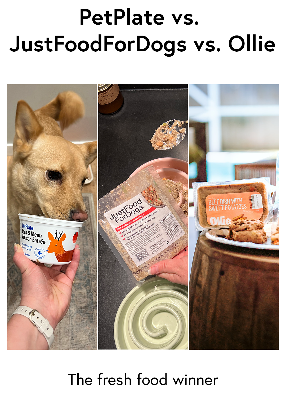 PetPlate vs. Ollie vs. JustFoodForDogs: Which Gets 4 Out Of 4 Paws?