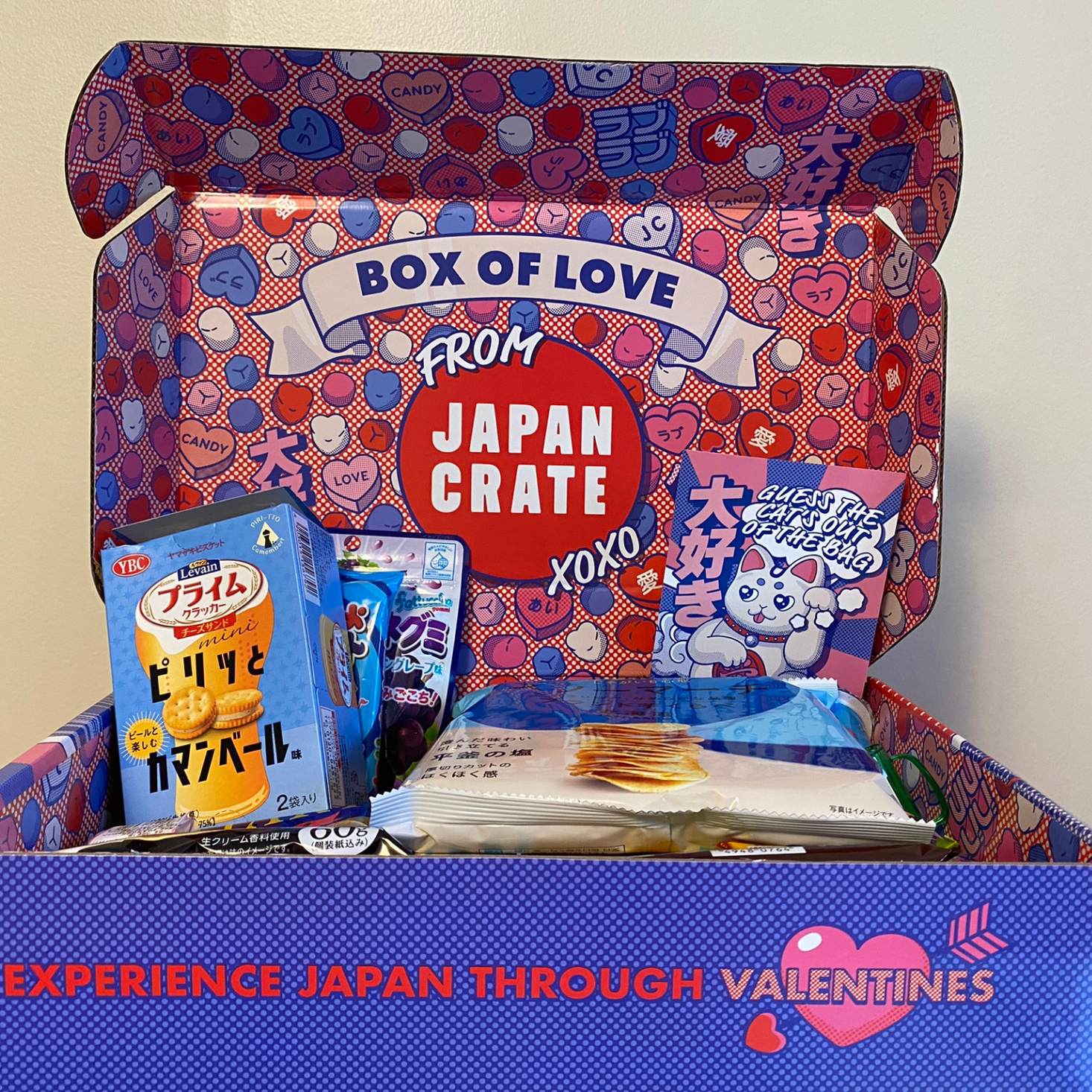 Japan Crate Premium Box Review February 2023