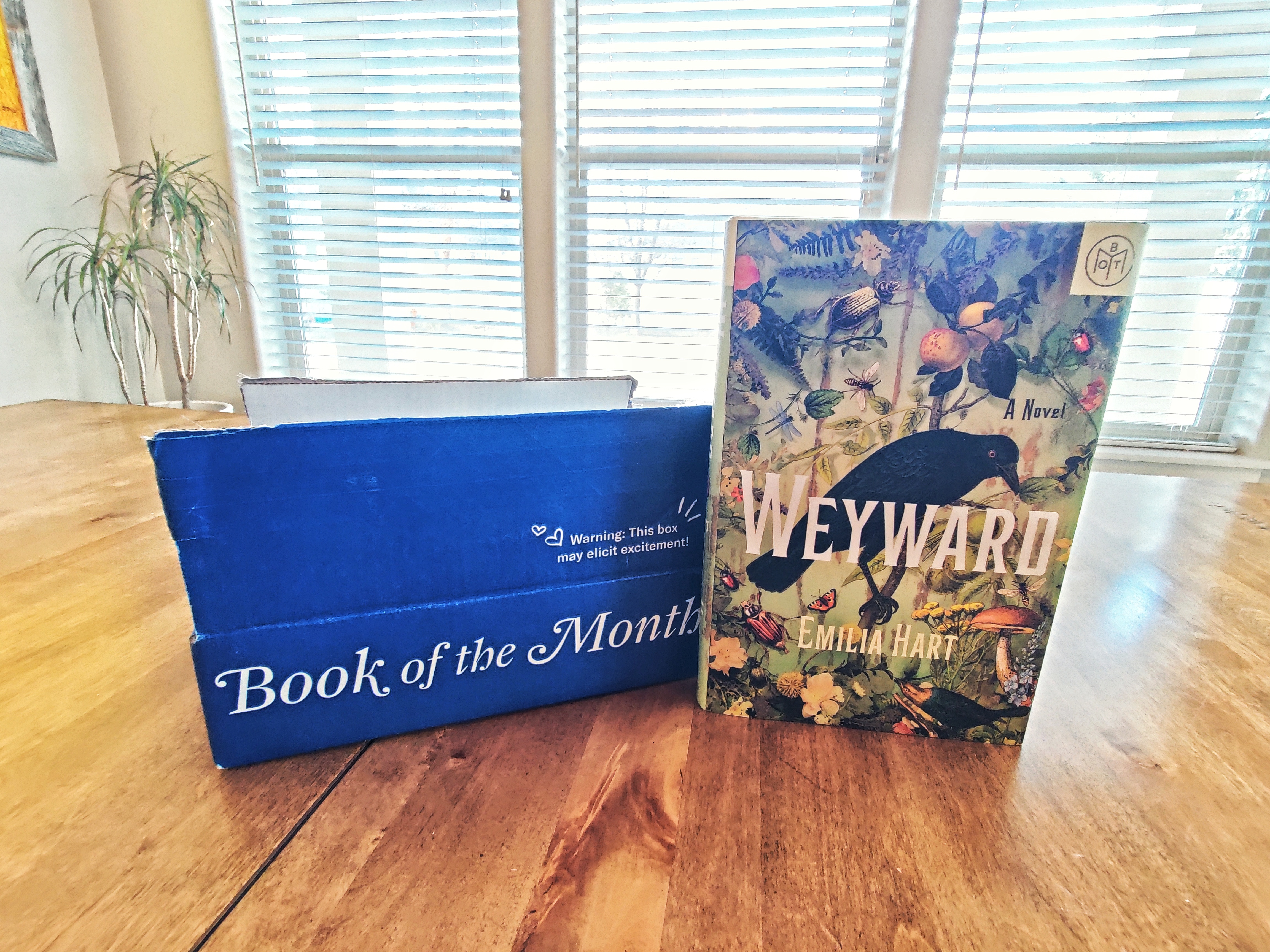 Book of the Month Review March 2023