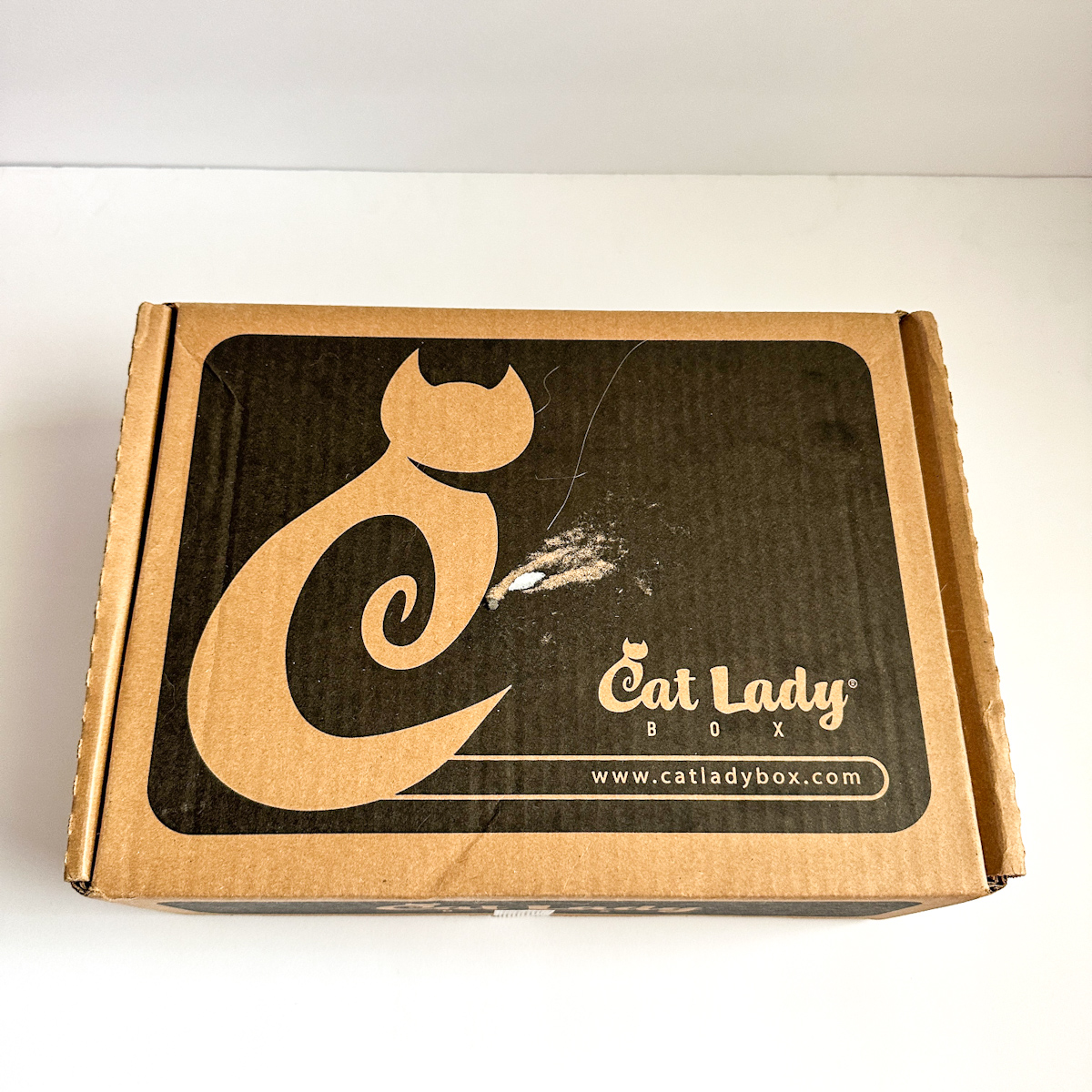 CatLadyBox Review “Totally Cats” August 2023 | MSA