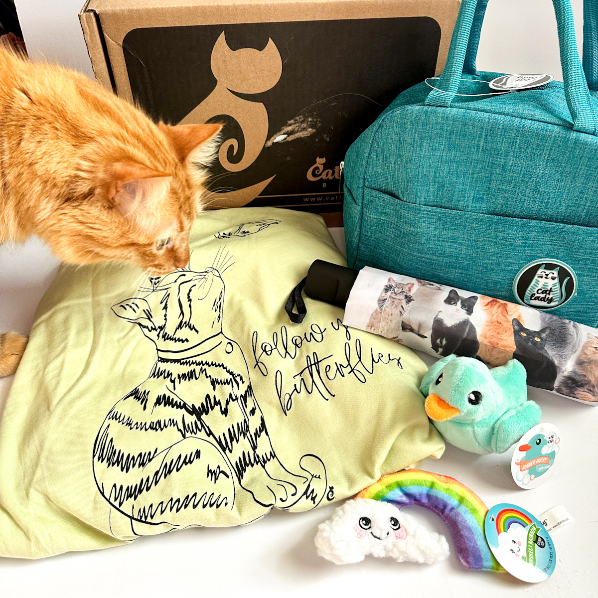 Cat Lady Box Review “Meowy Spring” March 2023