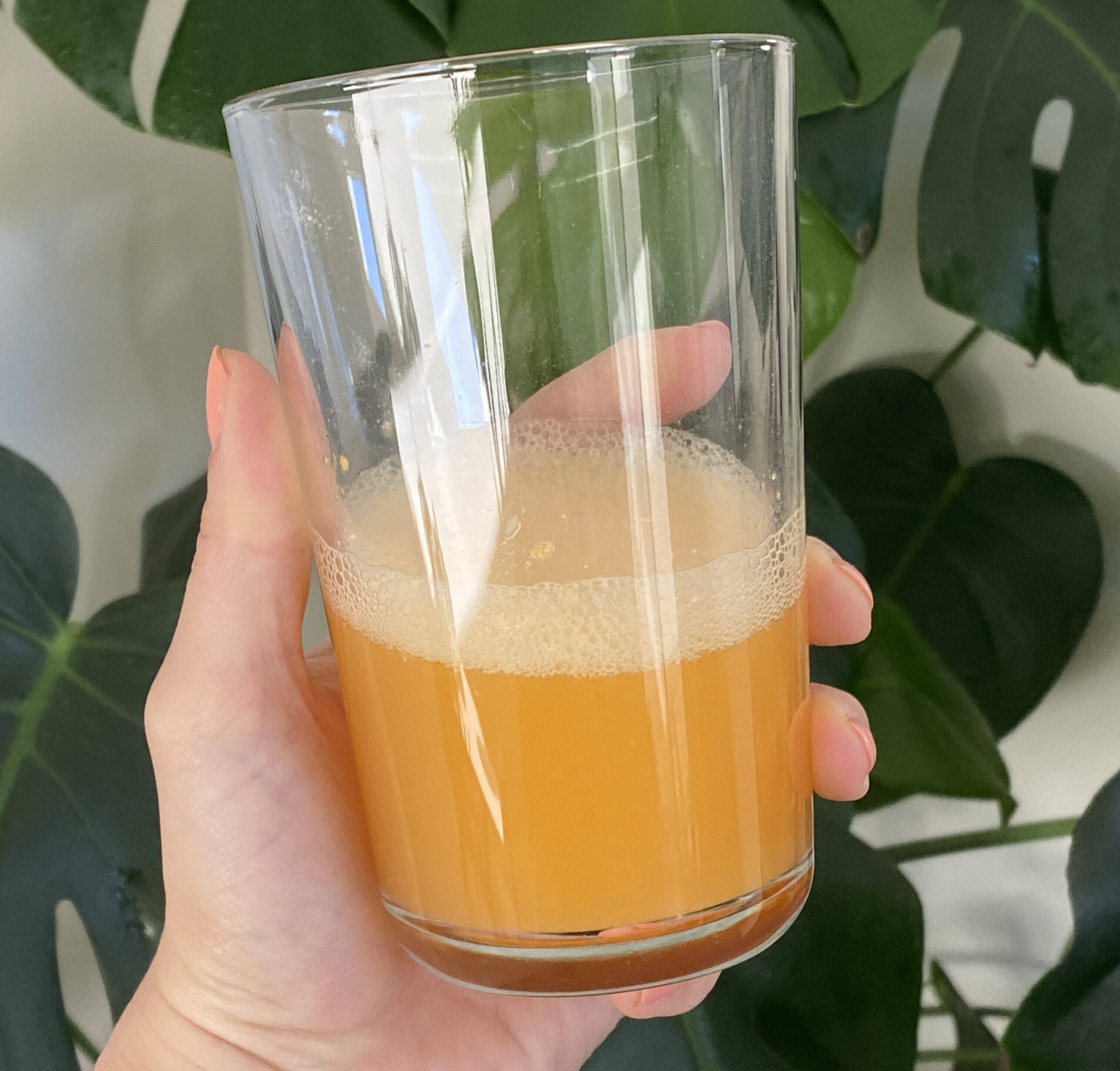 ARMRA vs. Probiotics: See Which Product Actually Improved My Gut Health