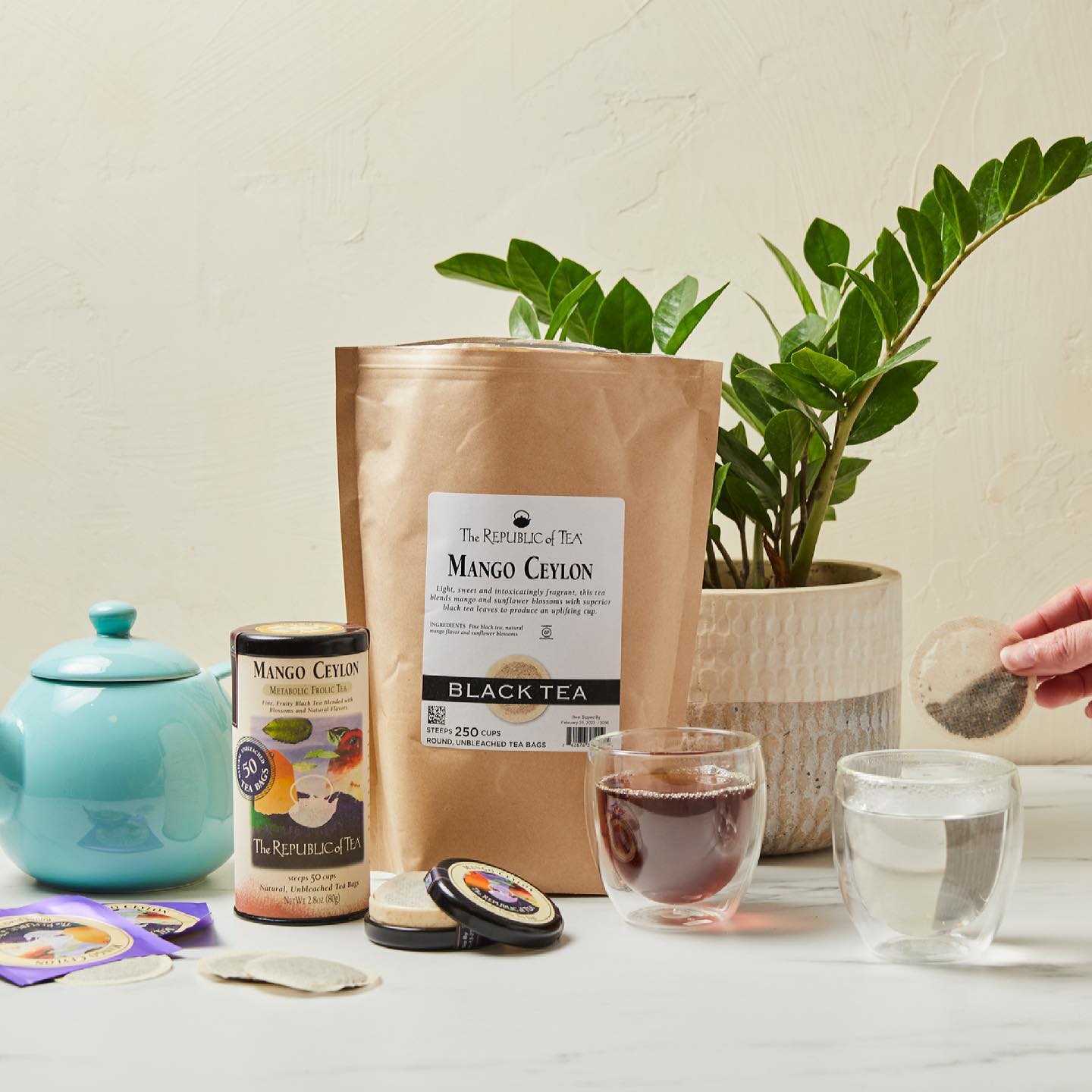 Art of Tea | White Coconut Crme Tea | 50 Eco Friendly Pyramid Tea Bag Sachets