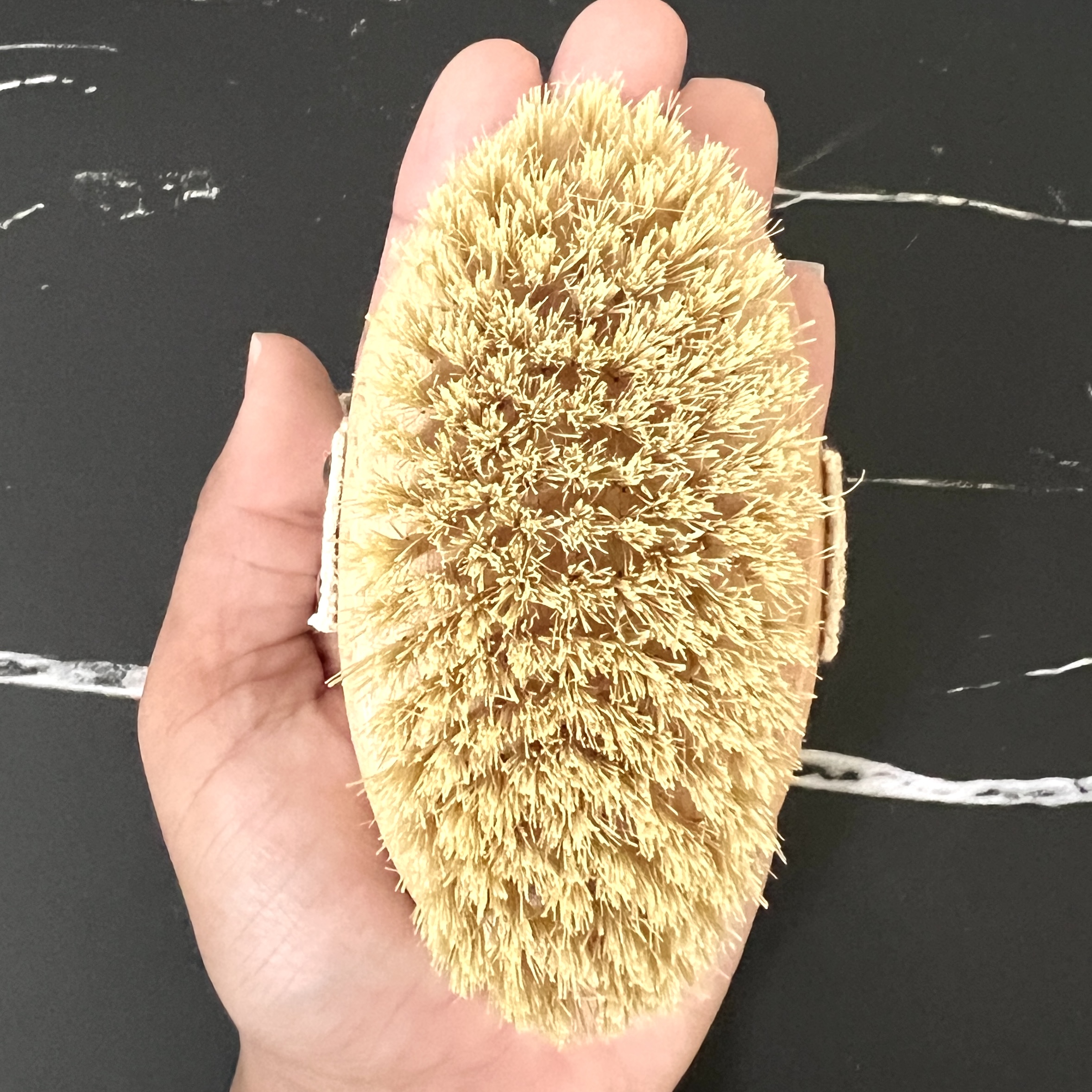 Closeup of Izzy and Liv Dry Body Brush for Brown Sugar Box March 2023