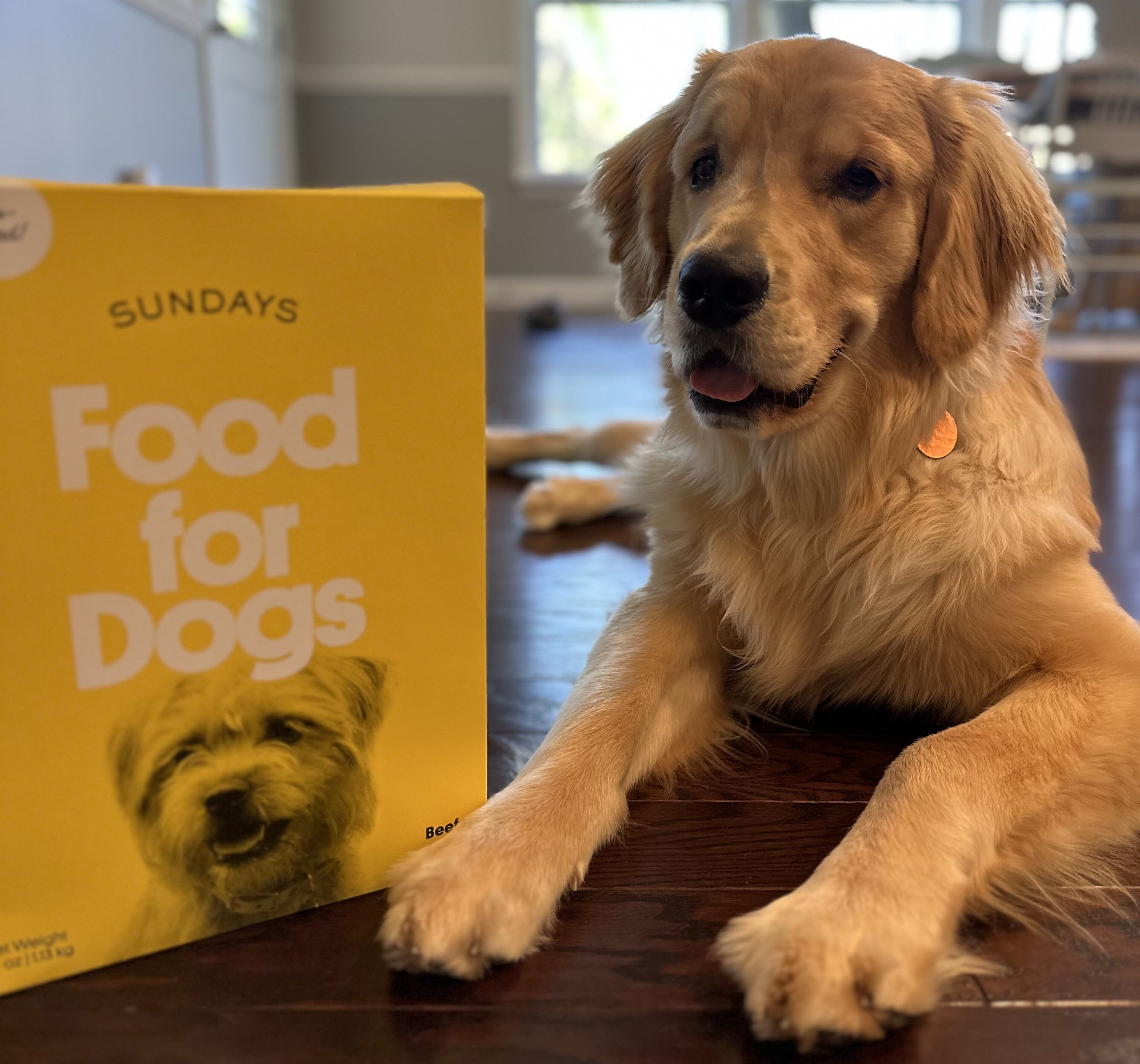 4 Reasons I’m Only Feeding My Dog Sundays From Now On My Subscription