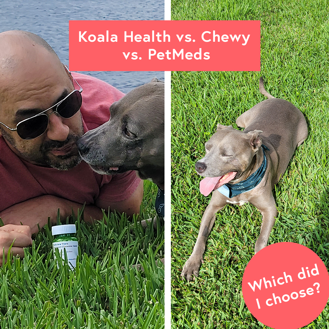 Koala Health vs. Chewy vs. PetMeds: Which Should You Trust for Your Beloved Pet?