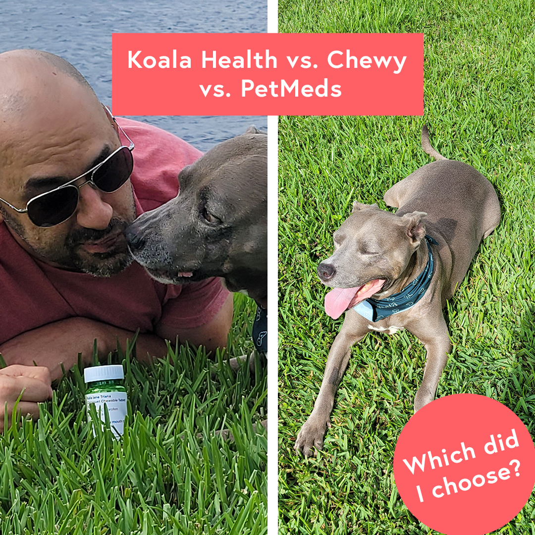 Chewy pet hotsell meds reviews