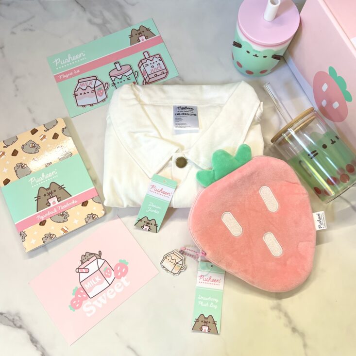 Full Contents for Pusheen Box Spring 2023