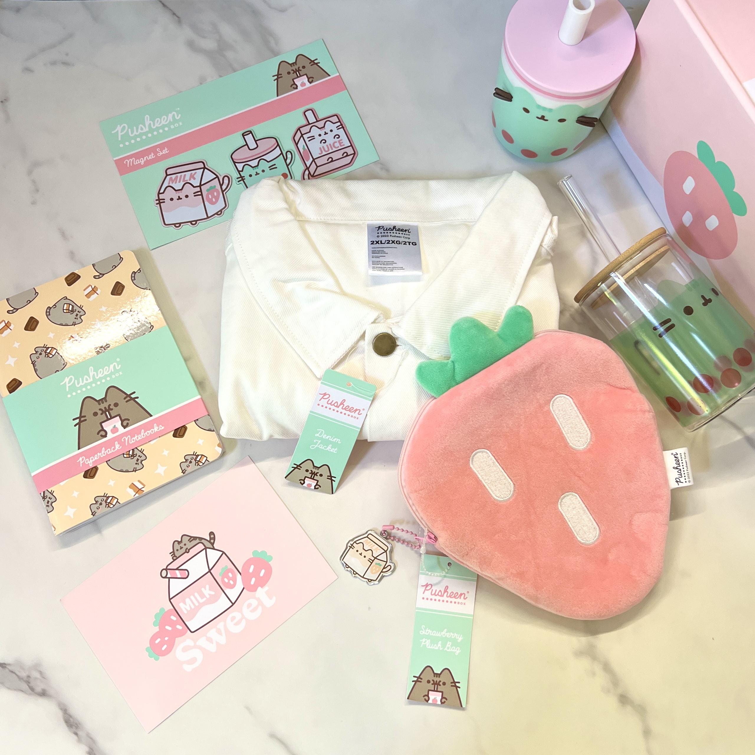 Pusheen Box Review – Spring 2023