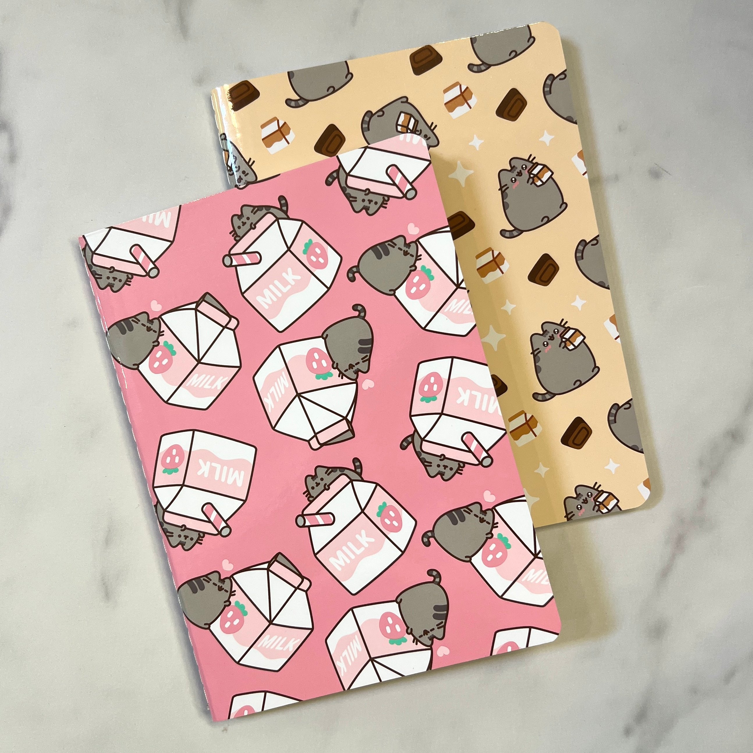 Front of Notebooks for Pusheen Box Spring 2023