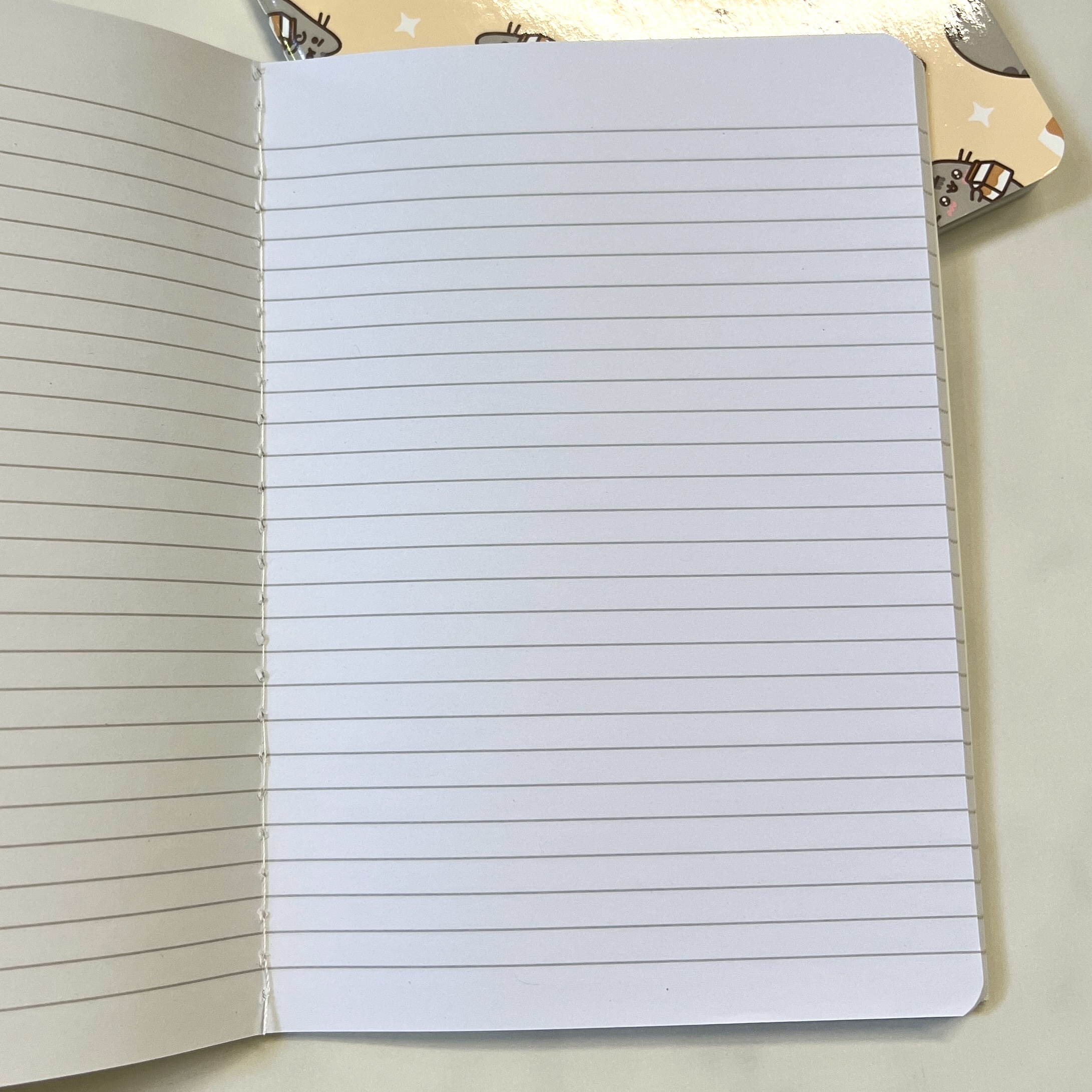 Open Shot of Notebooks for Pusheen Box Spring 2023