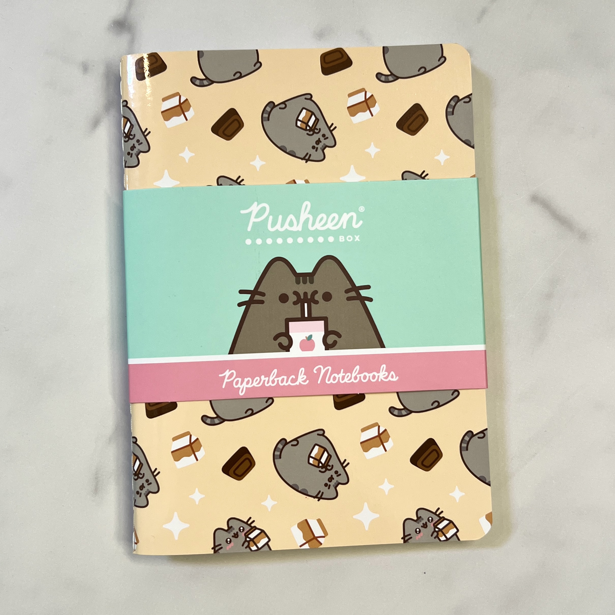 Notebooks for Pusheen Box Spring 2023