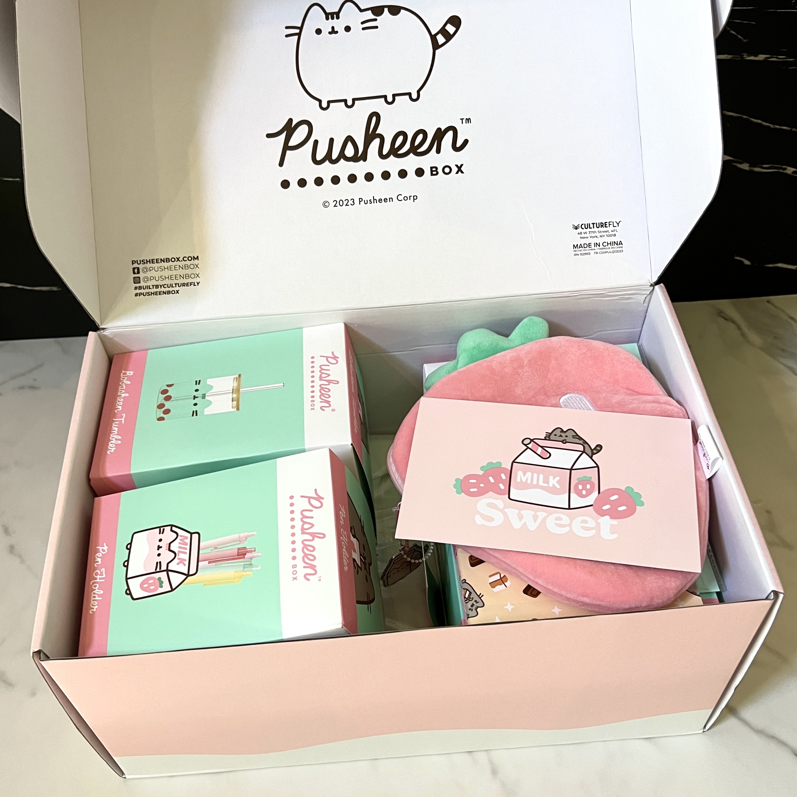 Open Box for Pusheen Box Spring 2023