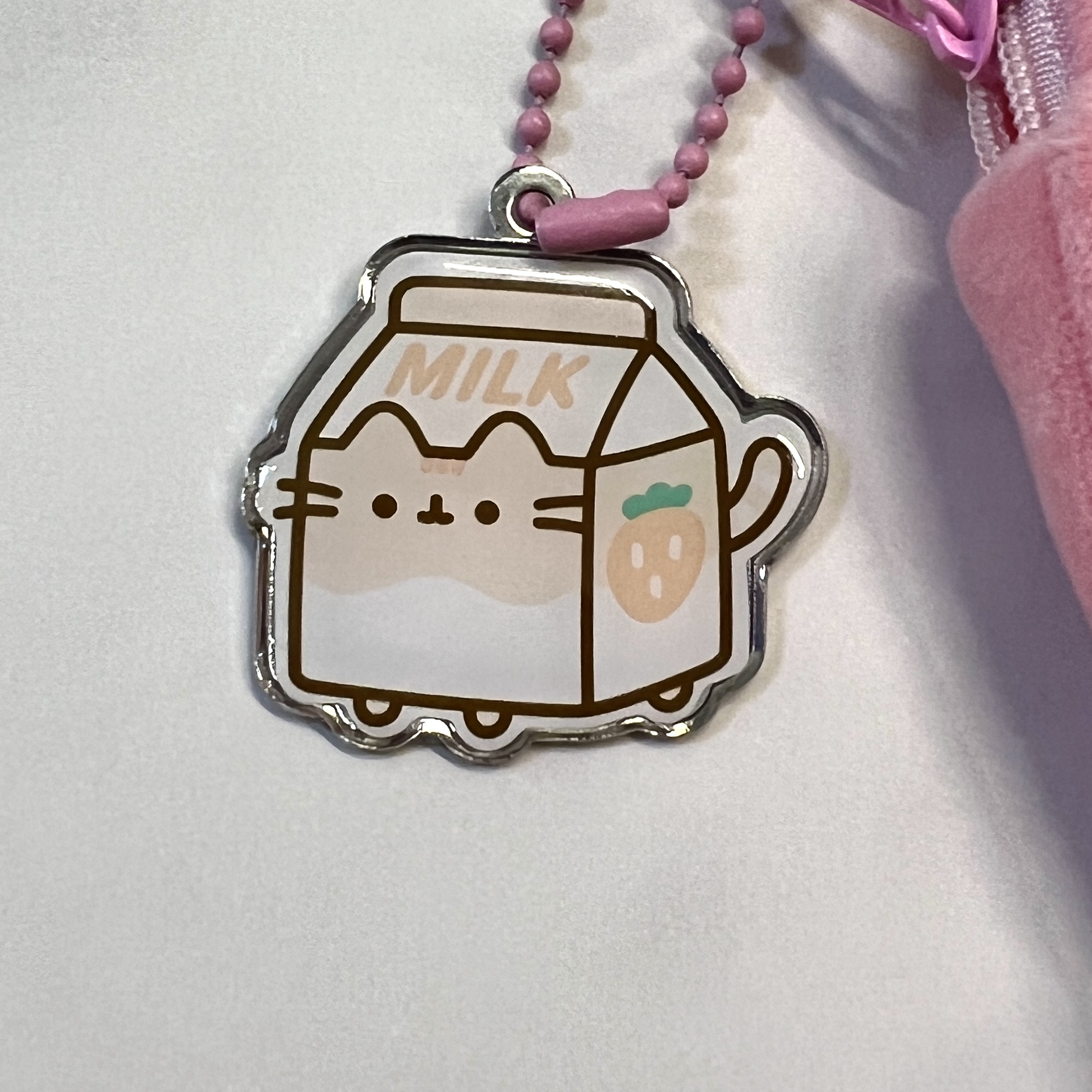 Hardware of Strawberry Pouch for Pusheen Box Spring 2023