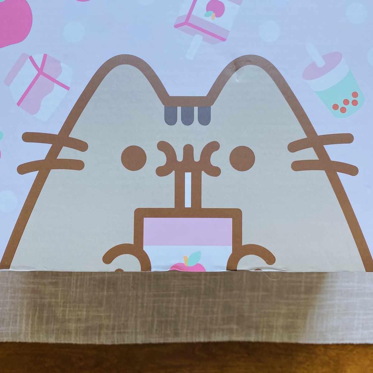  Cat Kit by Pusheen Box - Officially Licensed Pusheen Subscription  Box made for your Pet Cat : Productos para Animales