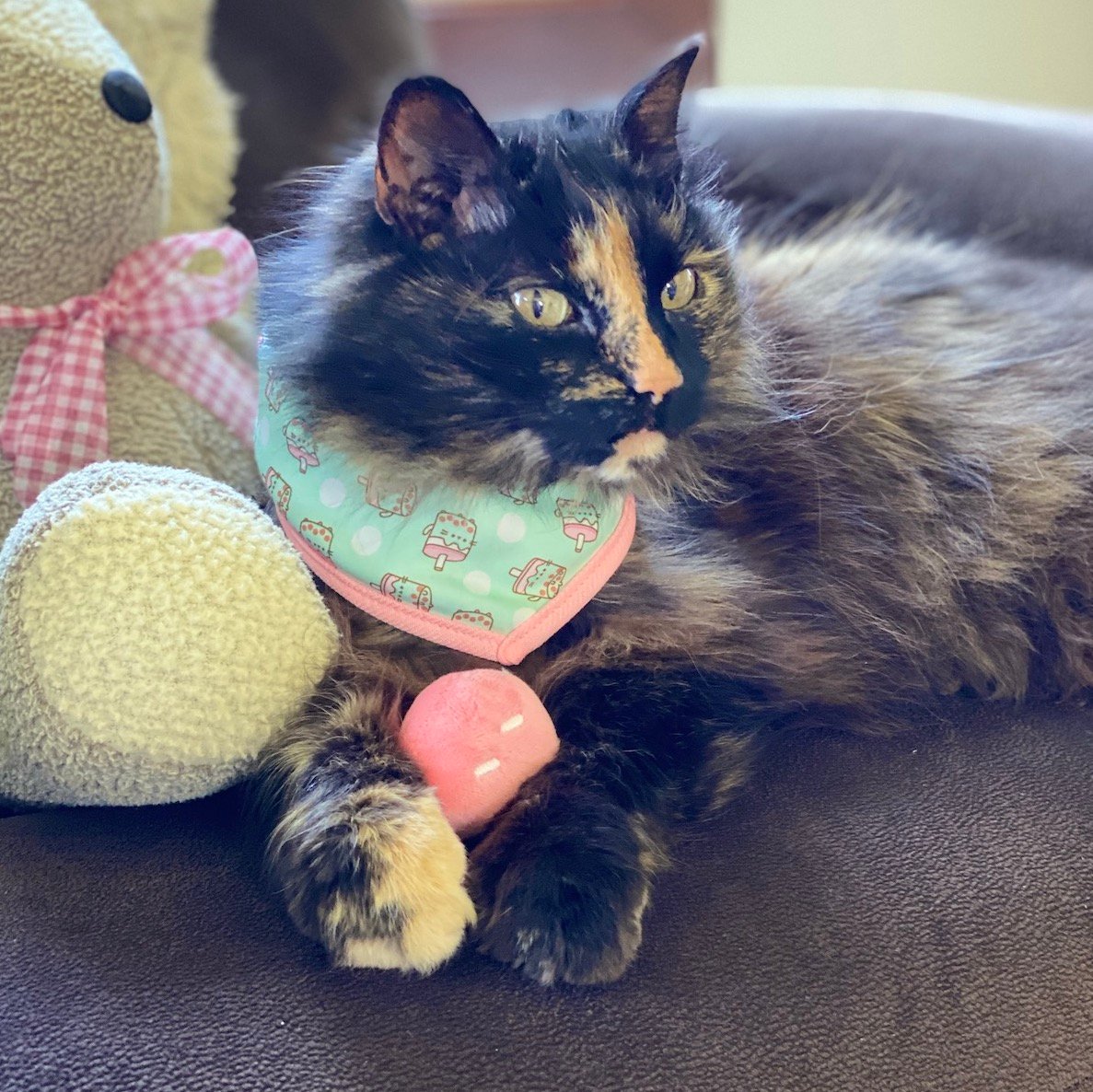 First Impressions: Cat Kit by Pusheen Box Review Spring 2023