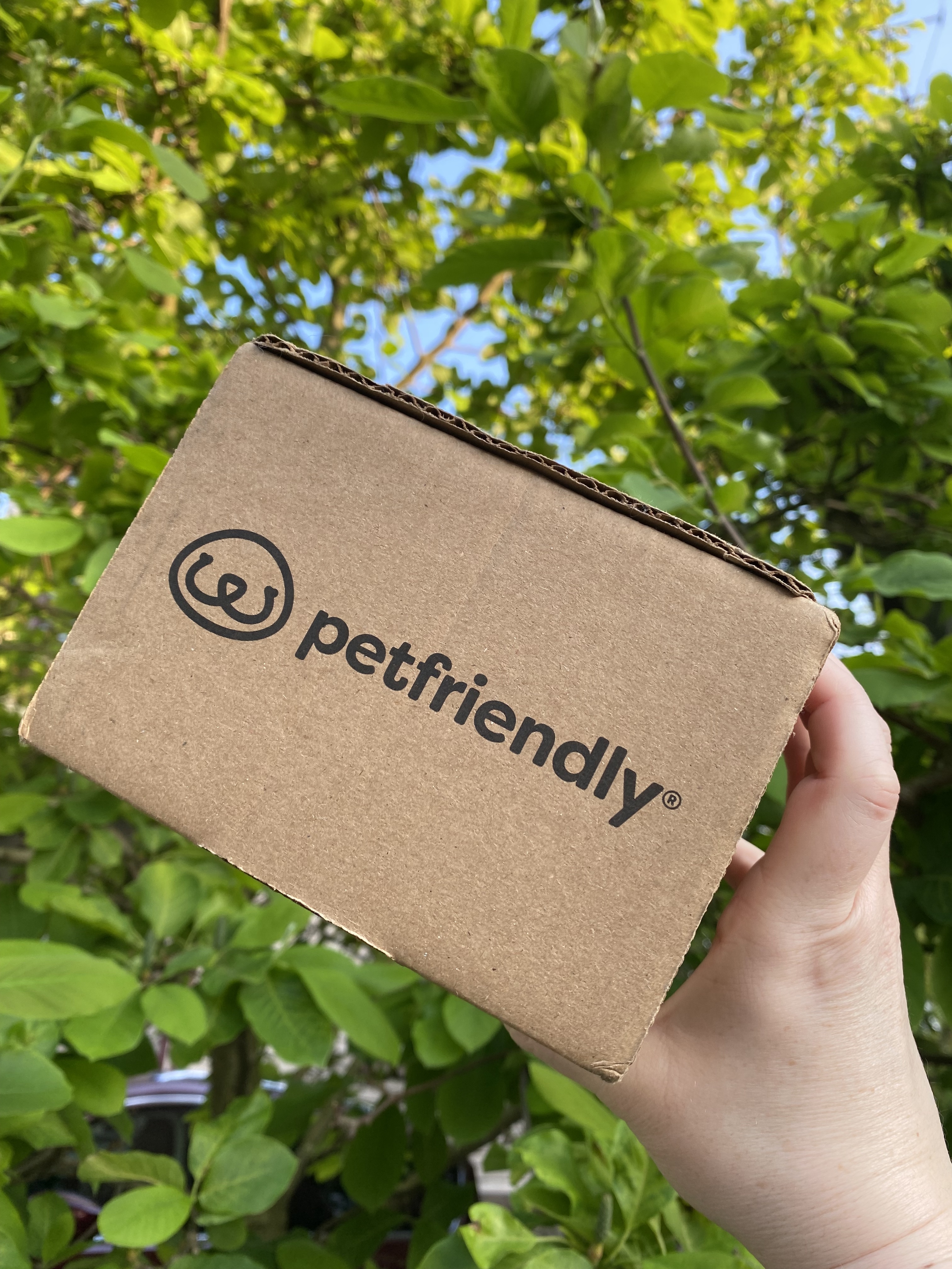 A Dog Mom’s Unofficial Guide to Hacking Your Pet’s Wellness Routine