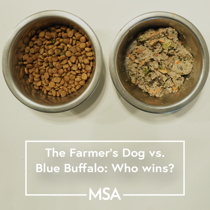 Is blue buffalo dog shop food bad for your dog