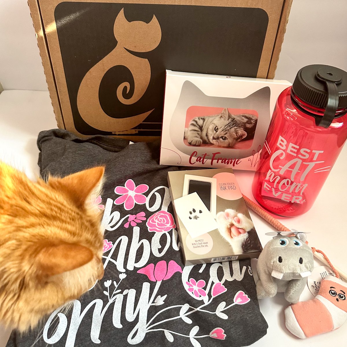 CatLadyBox Review “Cat Moms Day” May 2023