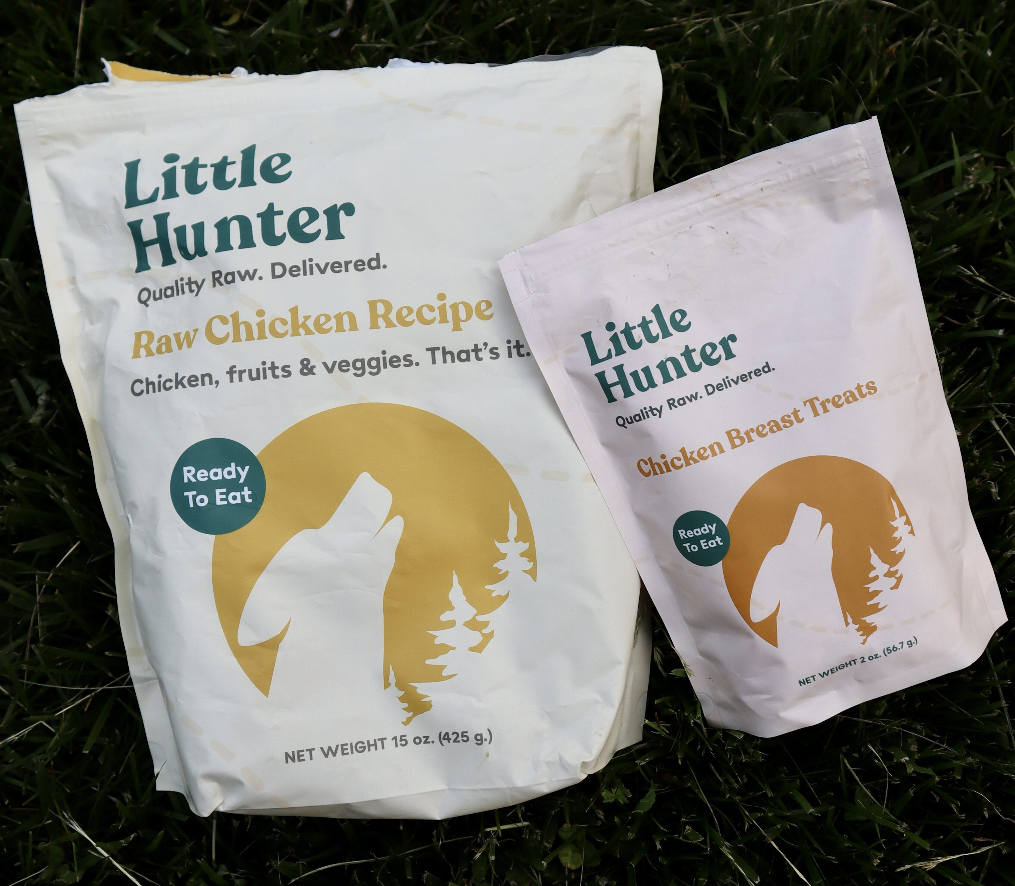 Little Hunter vs. Ollie Is Raw or Fresh Cooked Food Best for Your