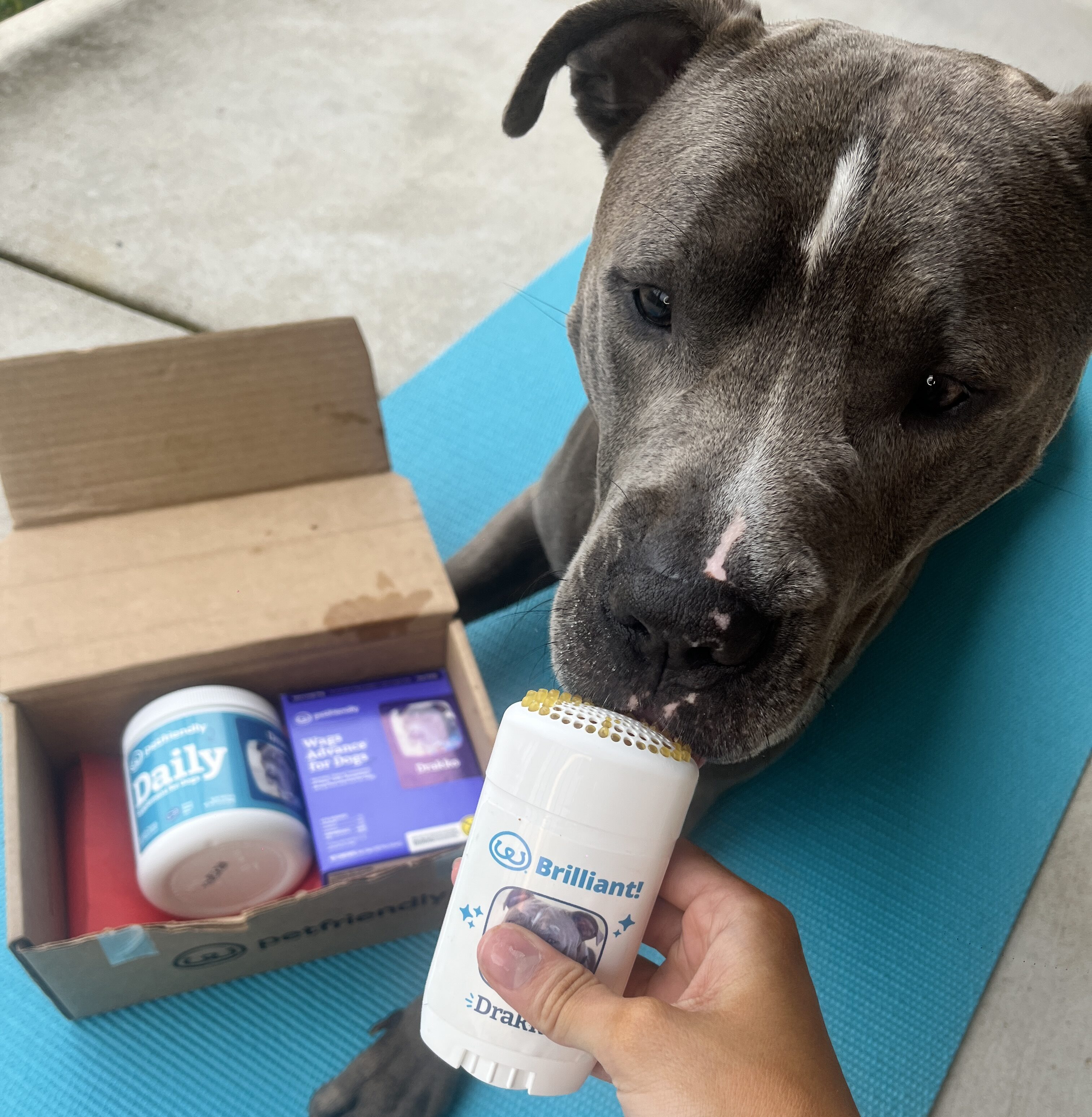 I Struggled to Treat My Dog’s Fleas — Until I Tried This Convenient Pet Care Subscription