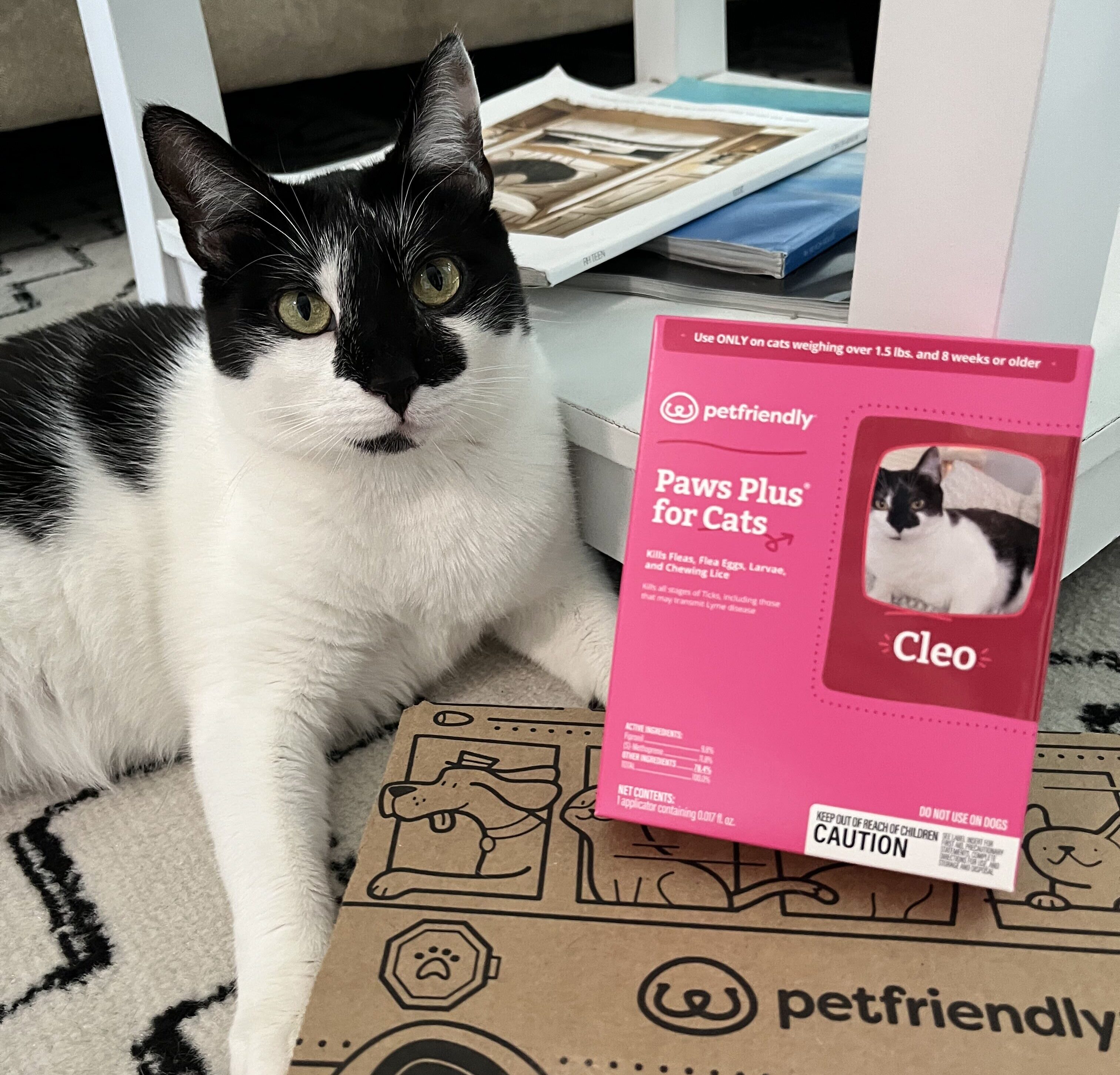 Pet Parents Are Calling This Pet Wellness Subscription The Ultimate Game Changer – But Is It Worth The Hype?