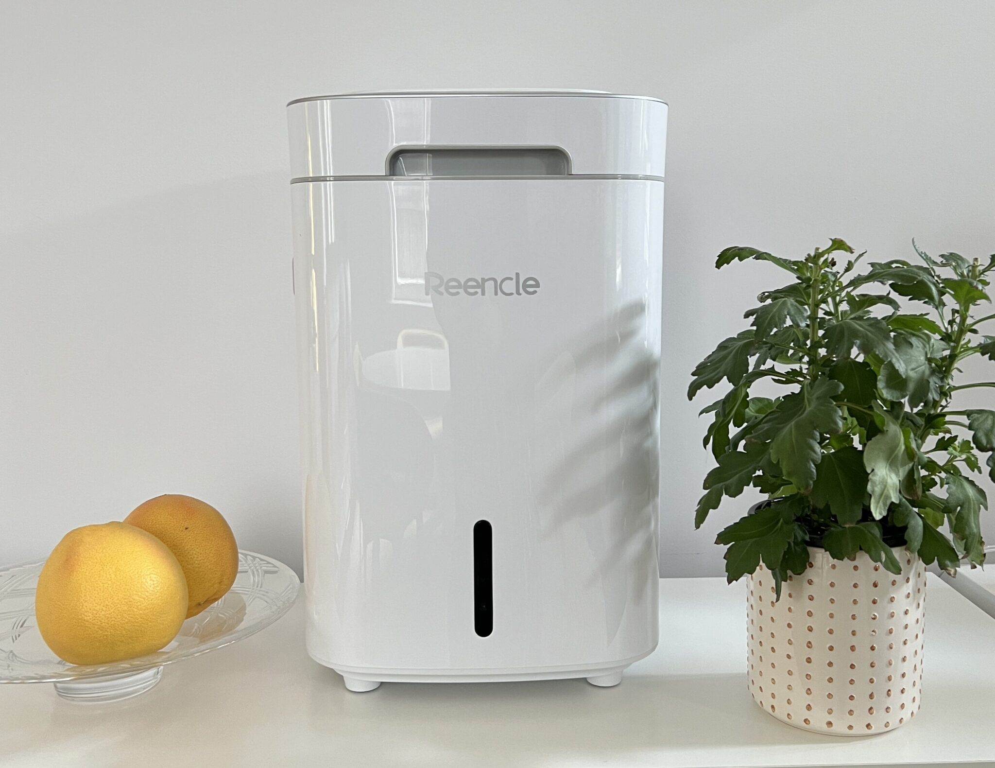 The Best Composters For Home Gardeners Ranked My Subscription Addiction