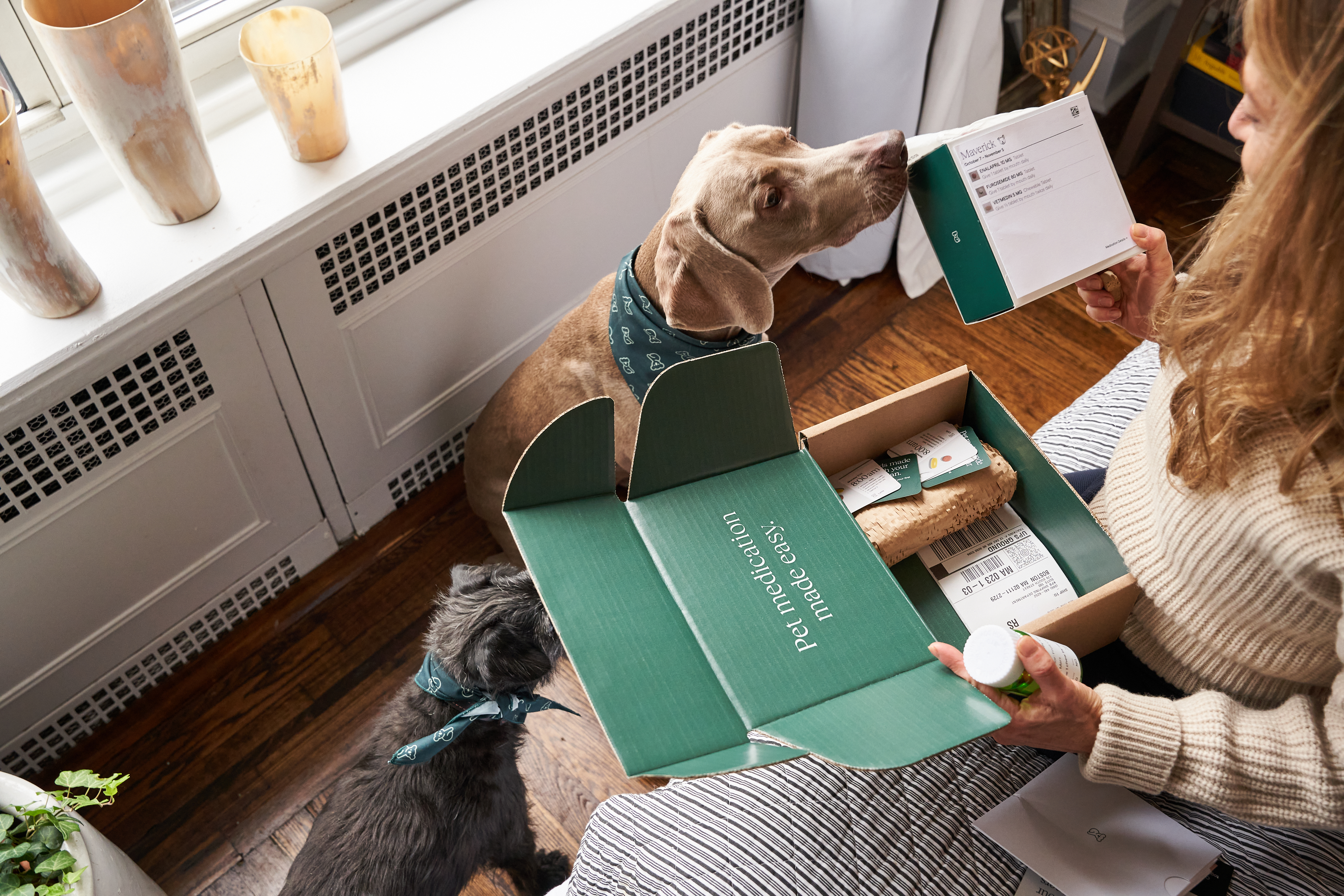 Say Goodbye to Fleas, Ticks, and Allergies with Koala Health’s Seasonal Deal!