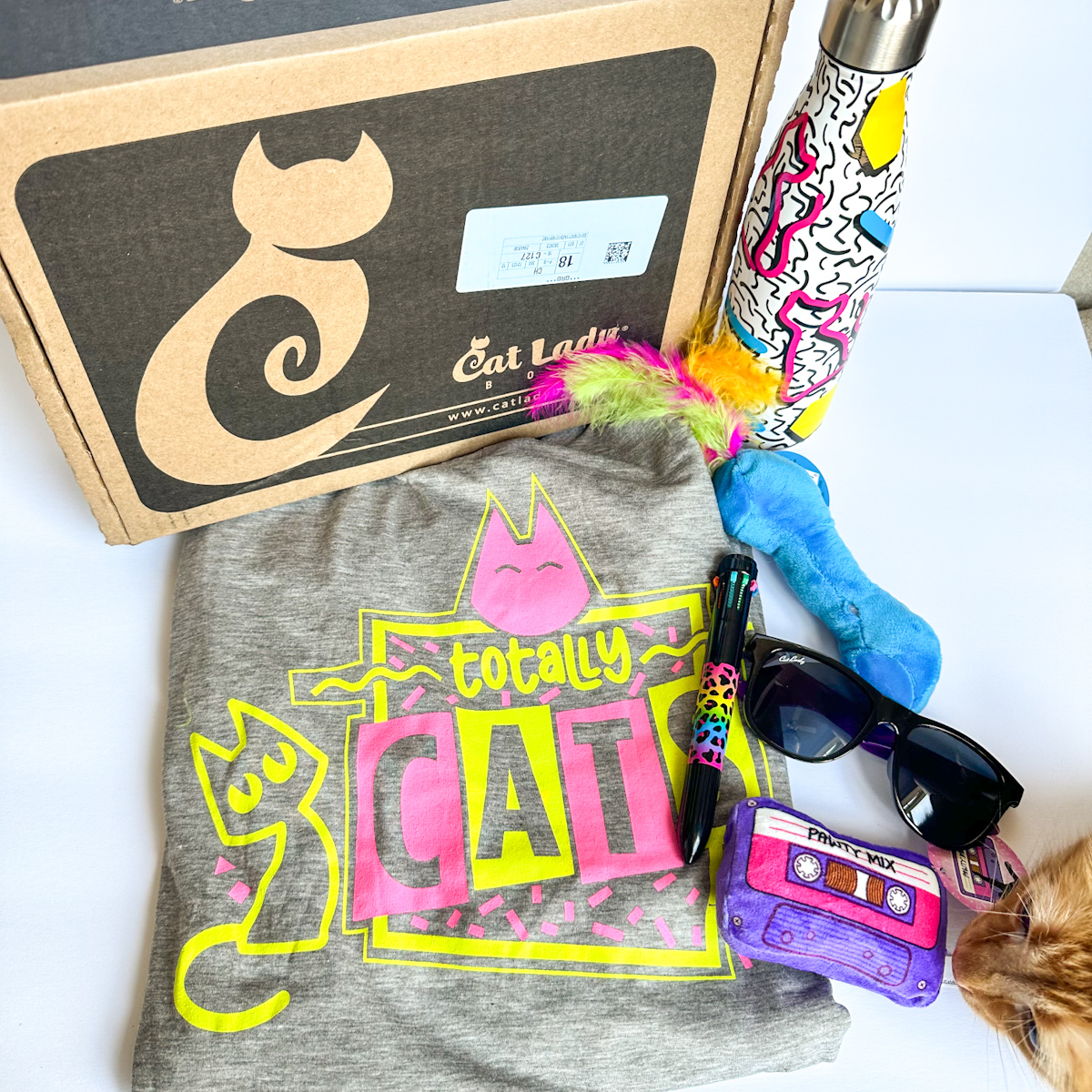 Cat Lady Box Subscription September 2022 Review