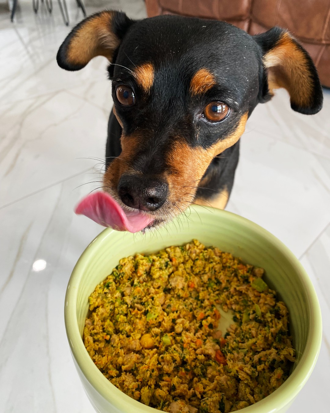 The 14 Best Dog Food Subscription Boxes of 2024