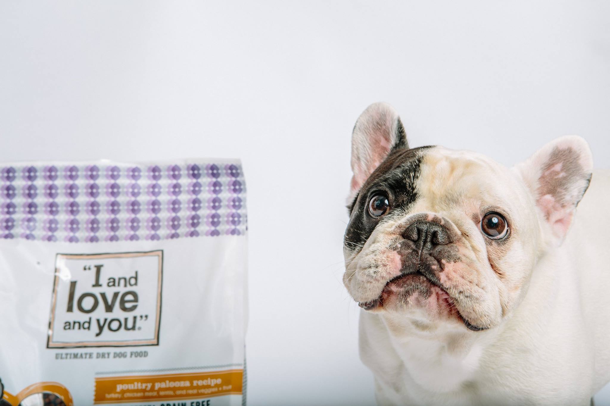 The 14 Best Dog Food Subscription Boxes of 2024