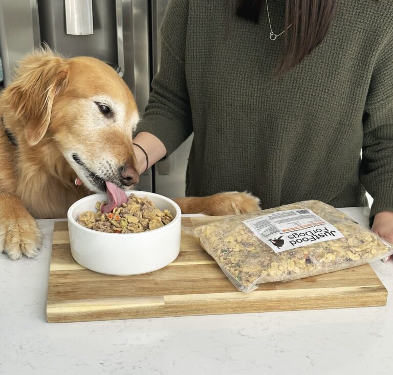The 14 Best Dog Food Subscription Boxes of 2024