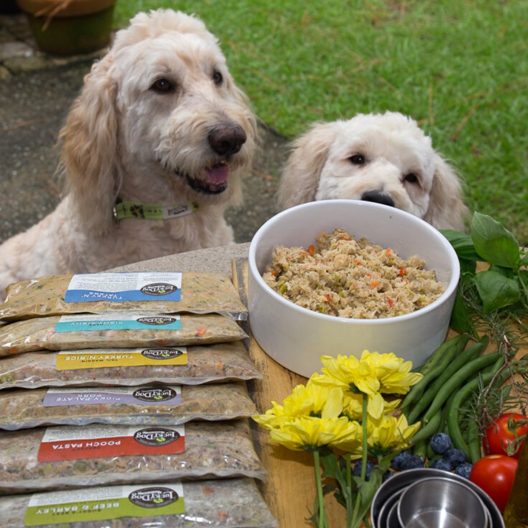 The 14 Best Dog Food Subscription Boxes of 2024