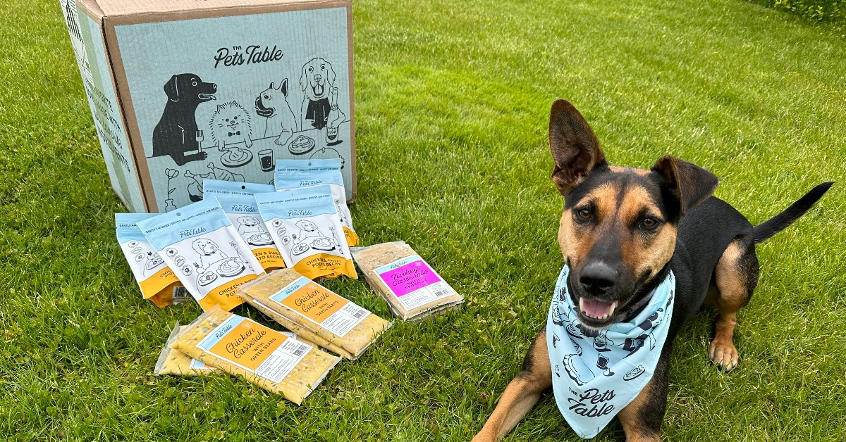 The 14 Best Dog Food Subscription Boxes of 2024