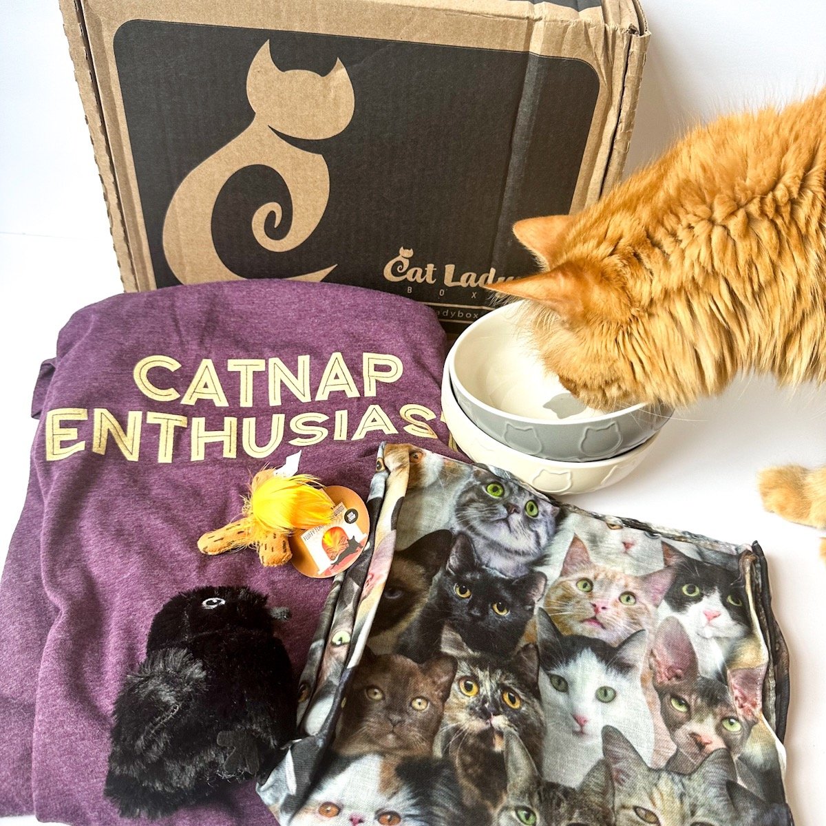 CatLadyBox Review Cozy Kitten September 2023 MSA